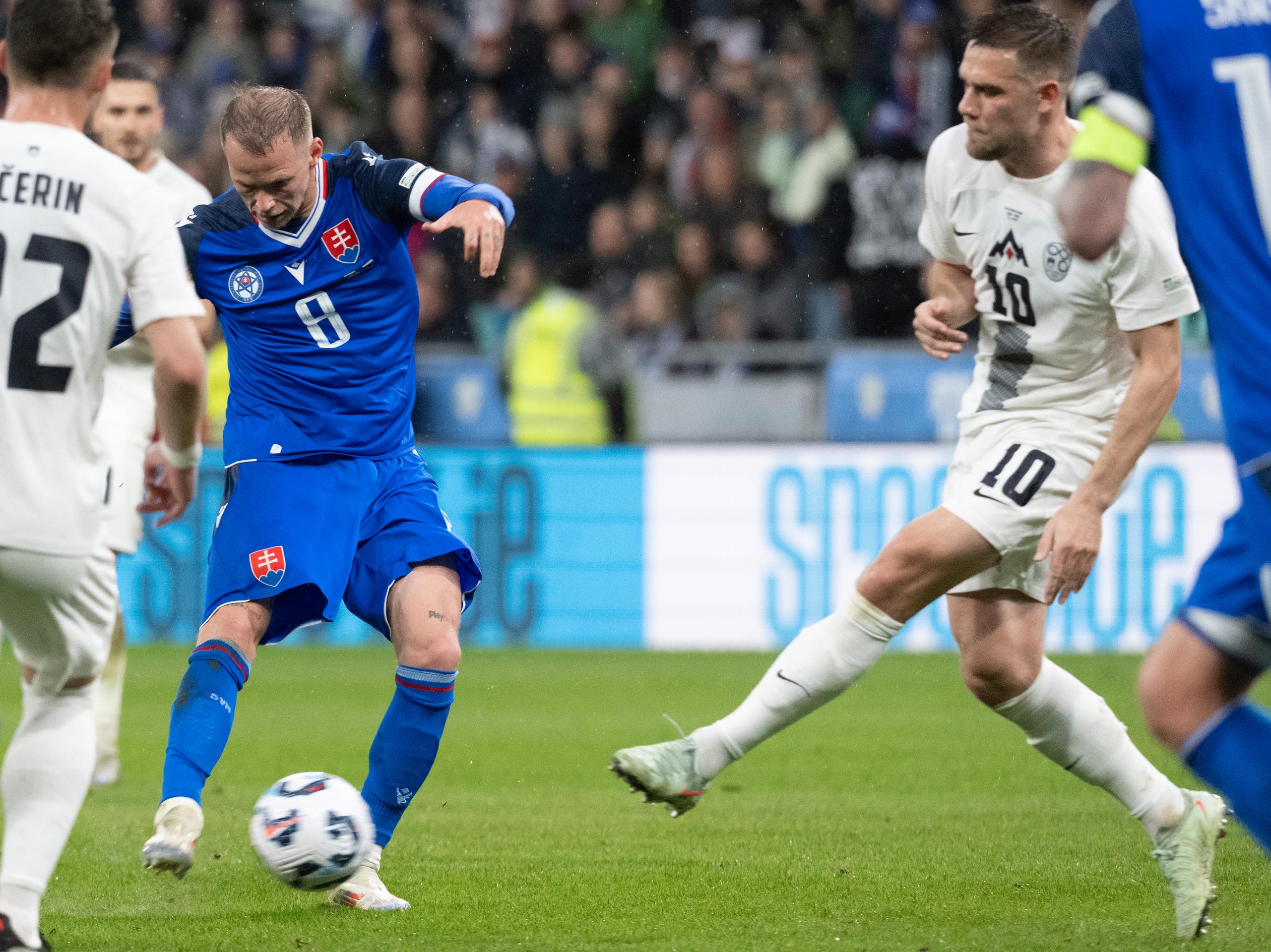 Slovinsko - Slovensko