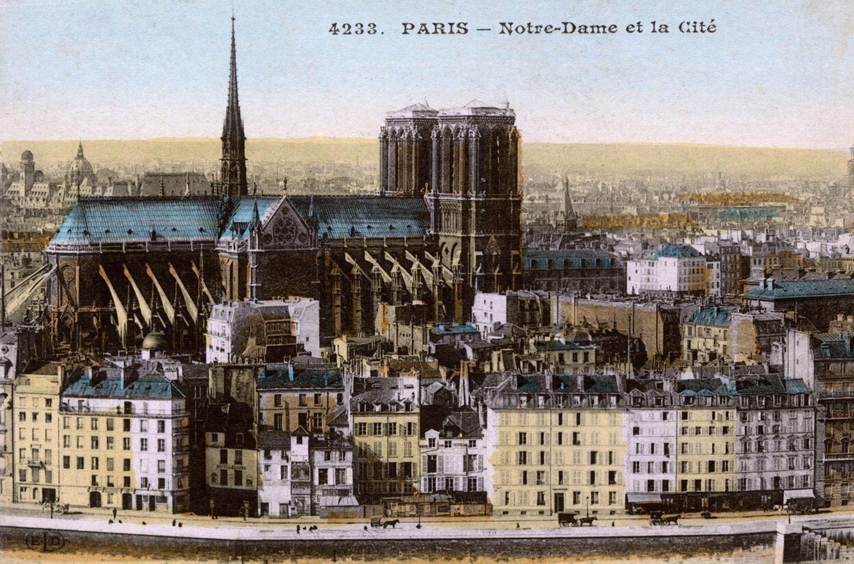 Katedrála Notre-Dame