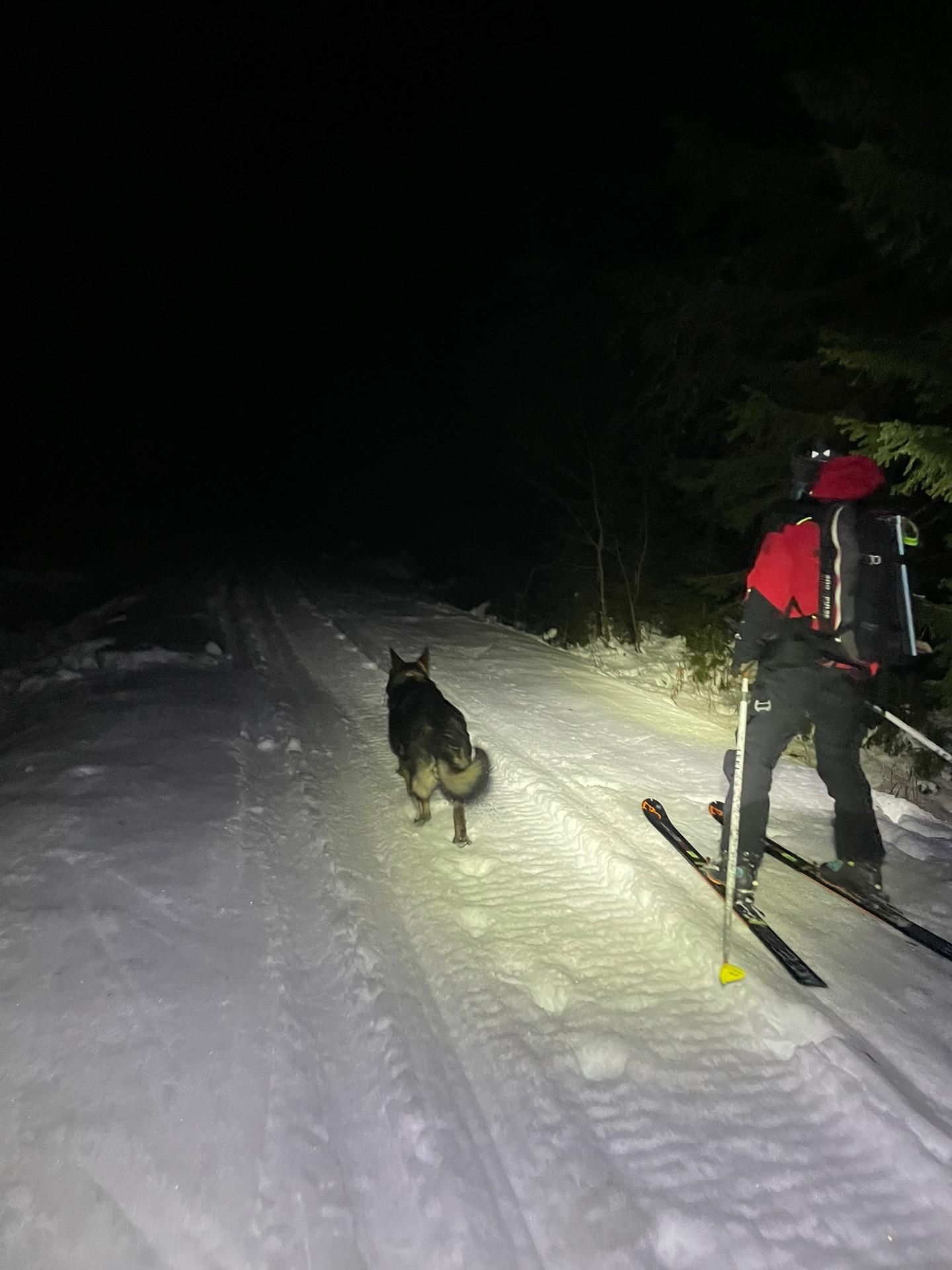 Pád lavíny do Tichej doliny so šťastným koncom.