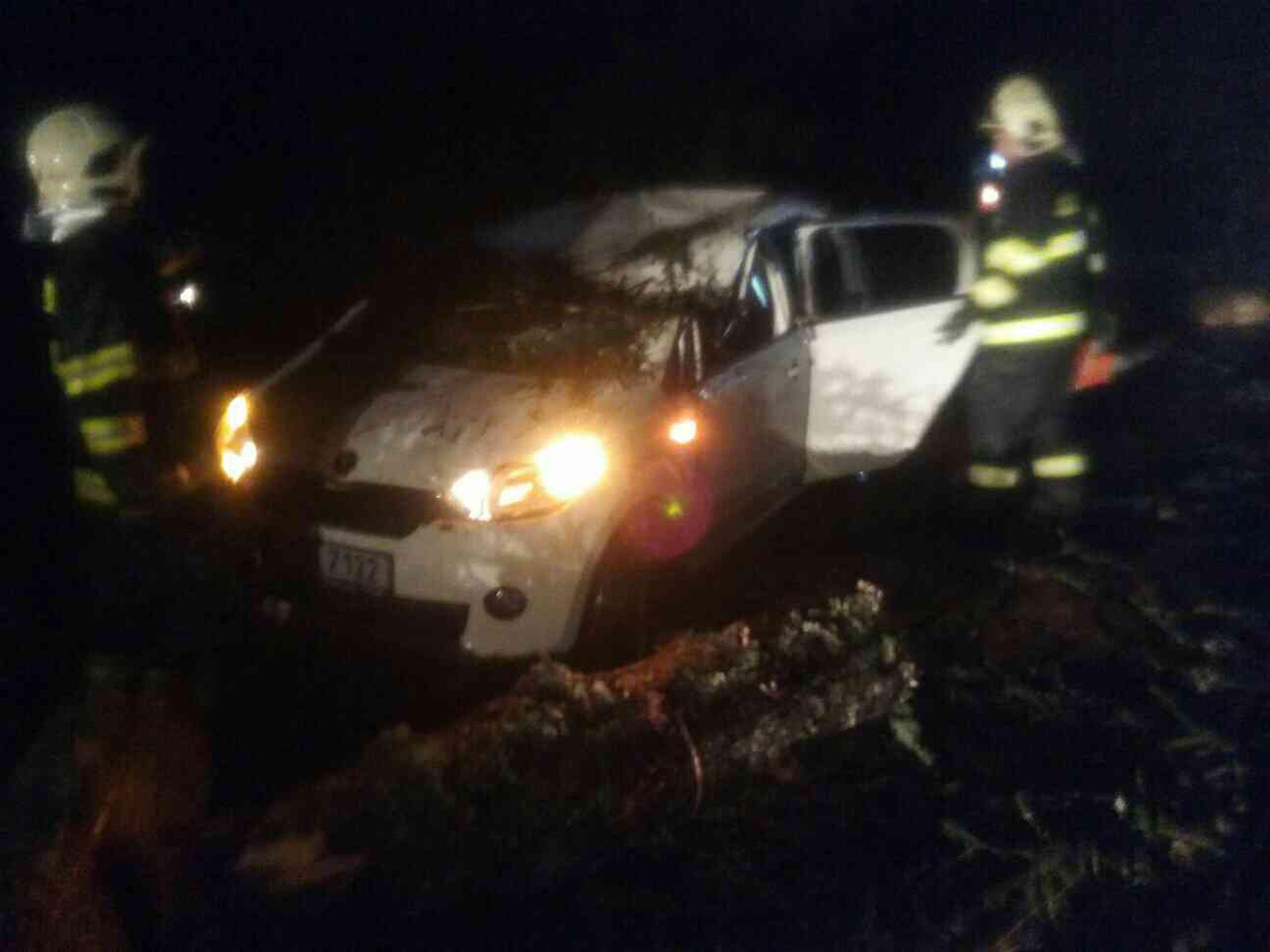 Na mladíka v aute spadol strom.