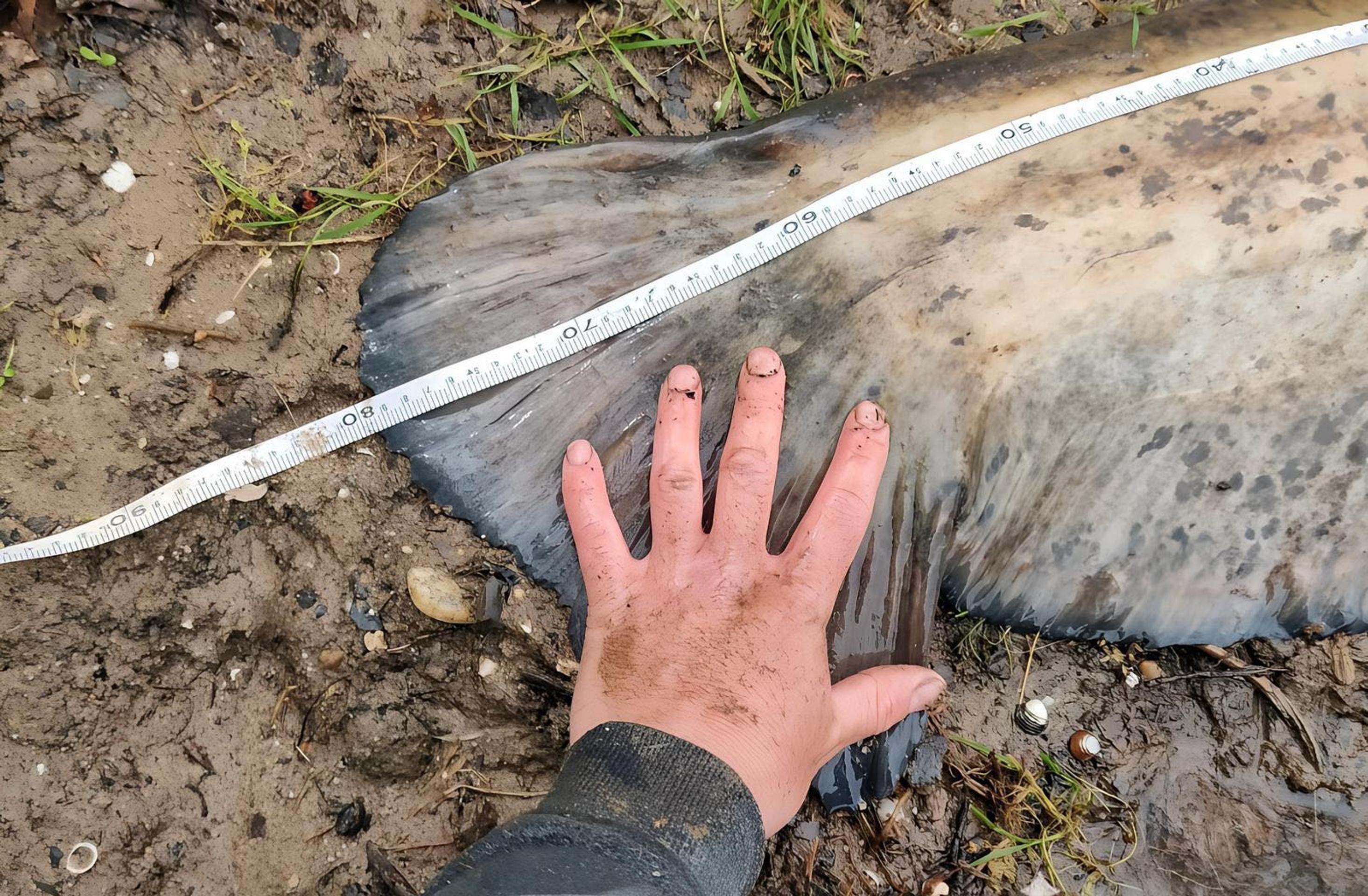 Francúz chytil rekordného sumca.