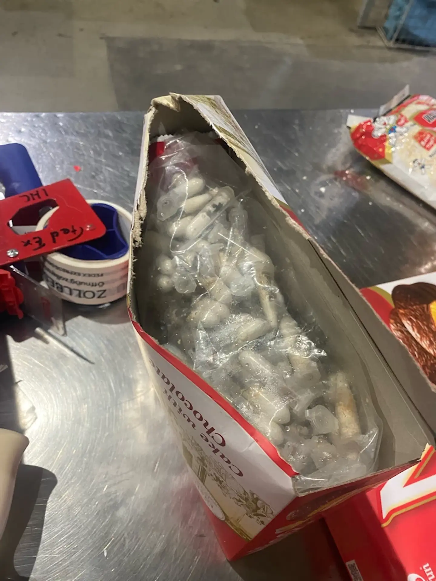 Zaistené jedovaté pavúky