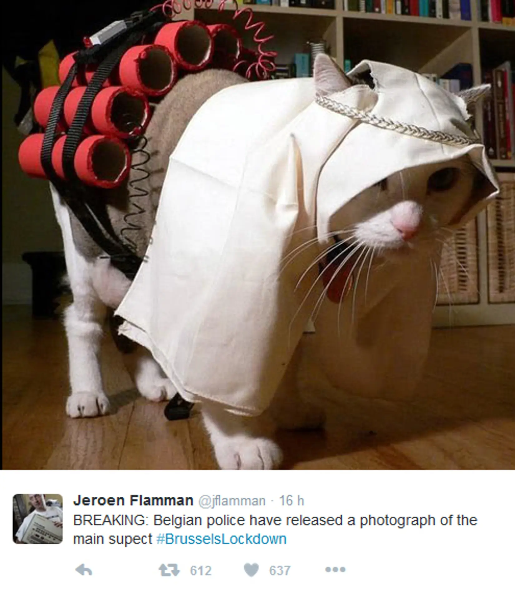 Untitled-7.jpg