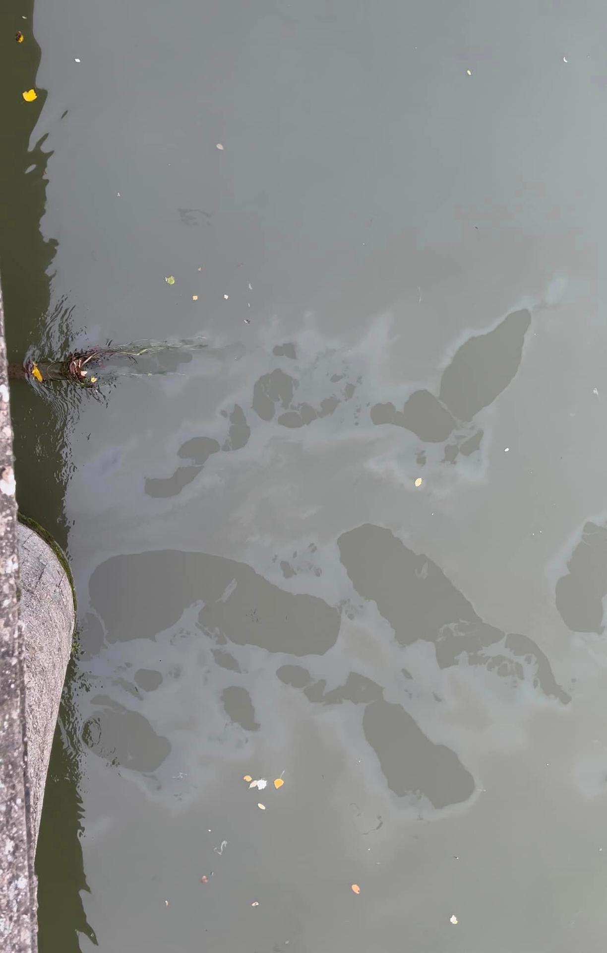 znečistený Malý Dunaj