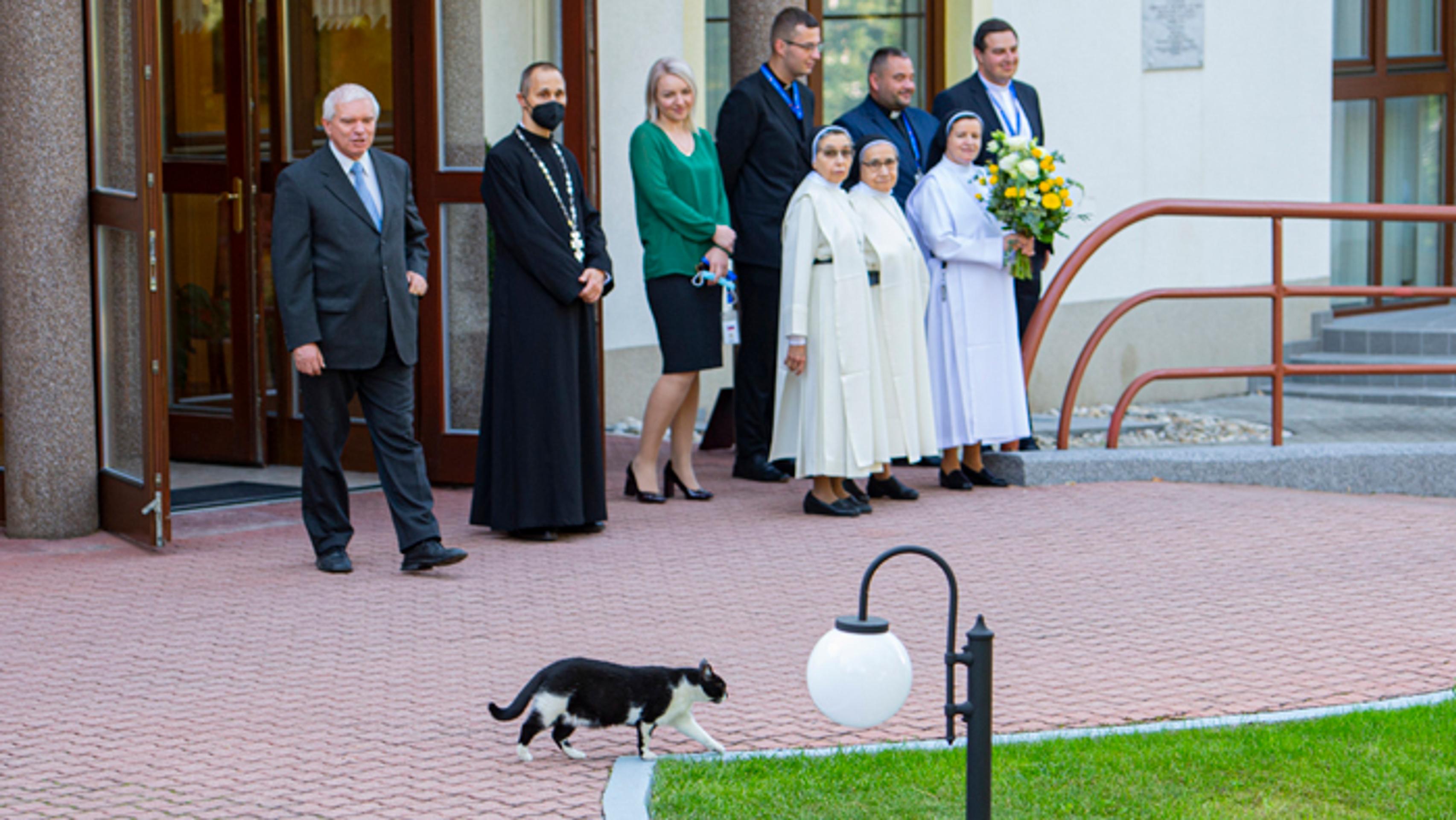 Kocúr kráča pred príchodom pápeža Františka na Apoštolskej nunciatúre.