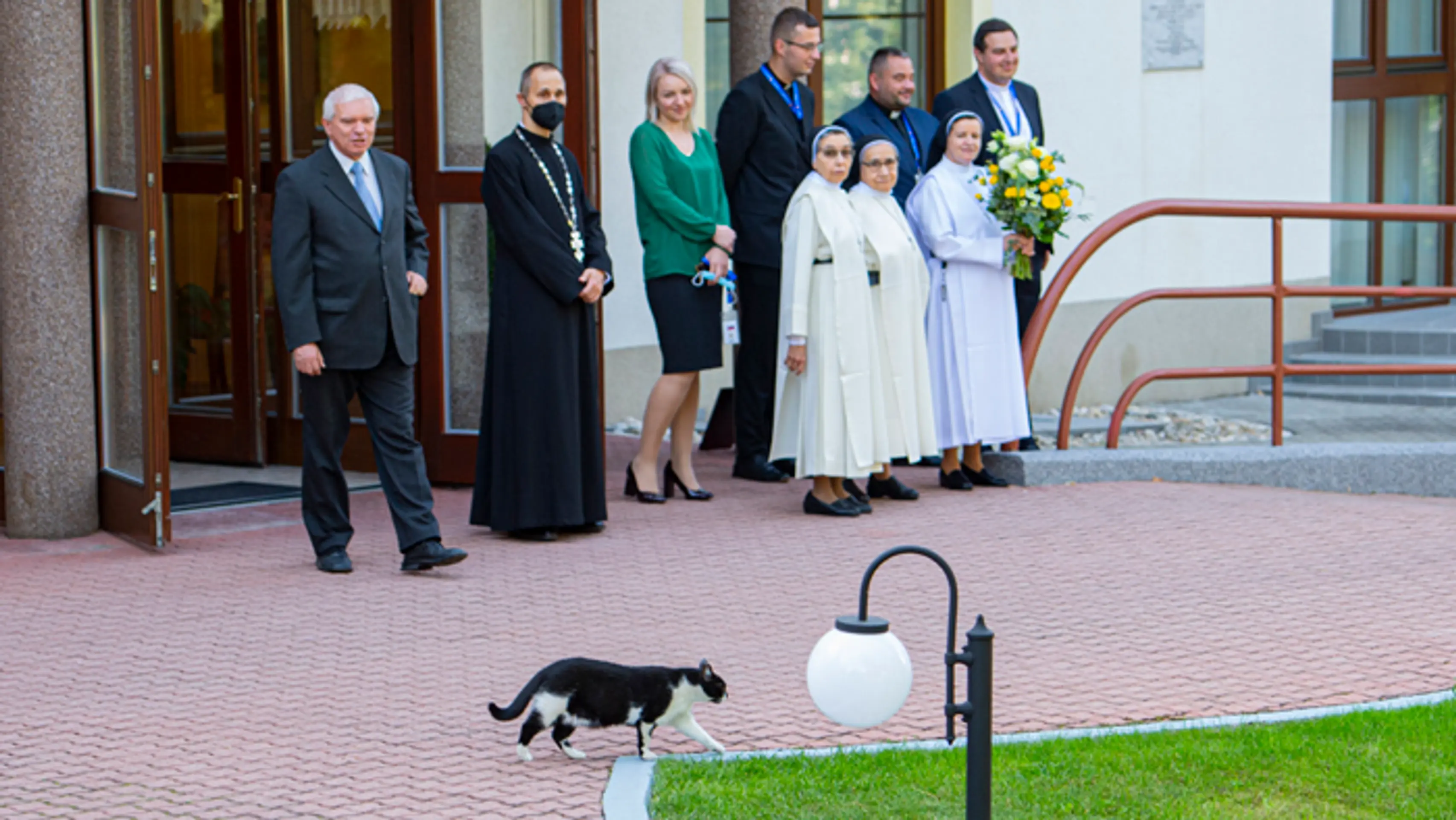 Kocúr kráča pred príchodom pápeža Františka na Apoštolskej nunciatúre.