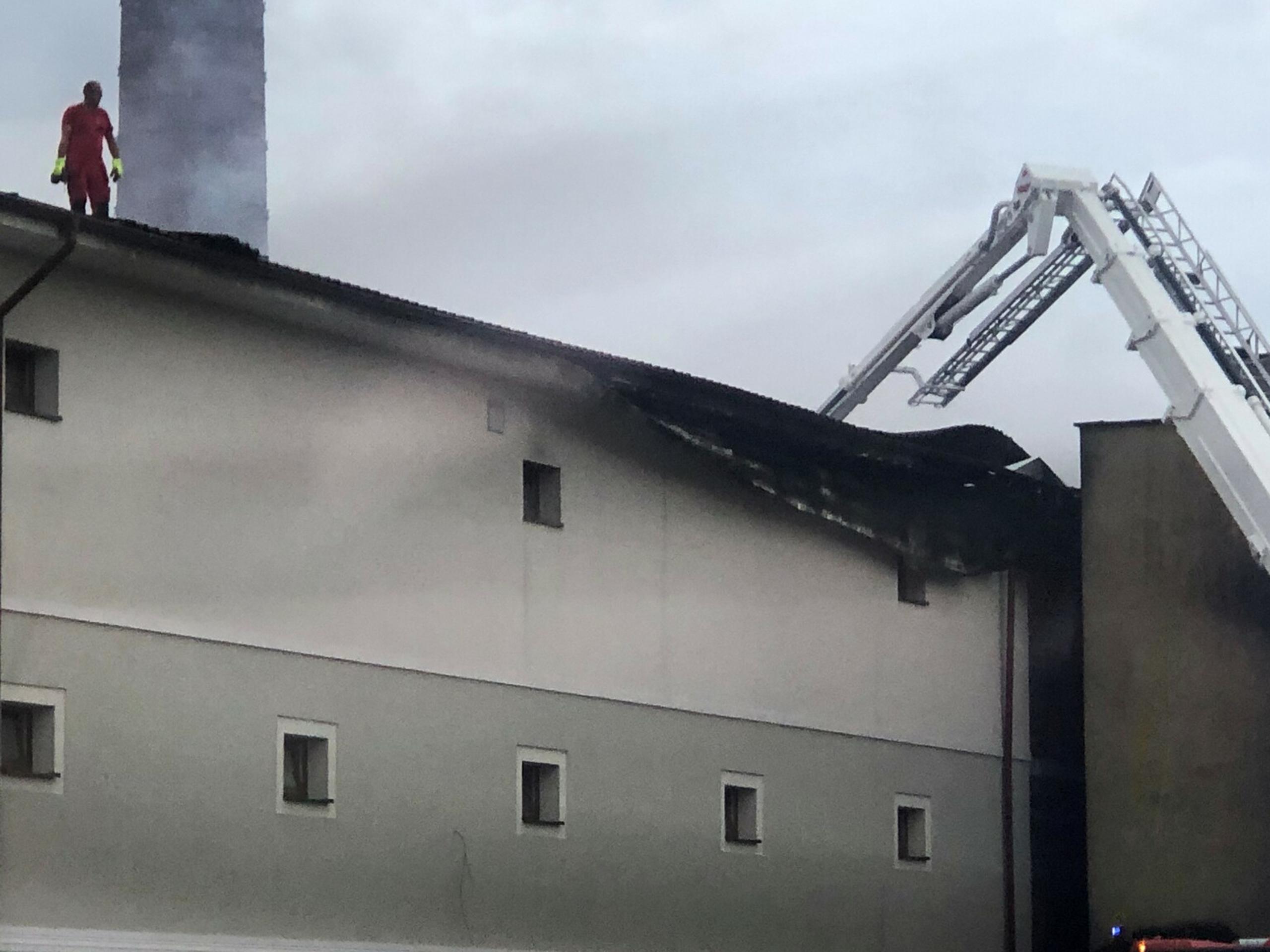 kocis mast.jpg_bez_watermarku_1.jpg