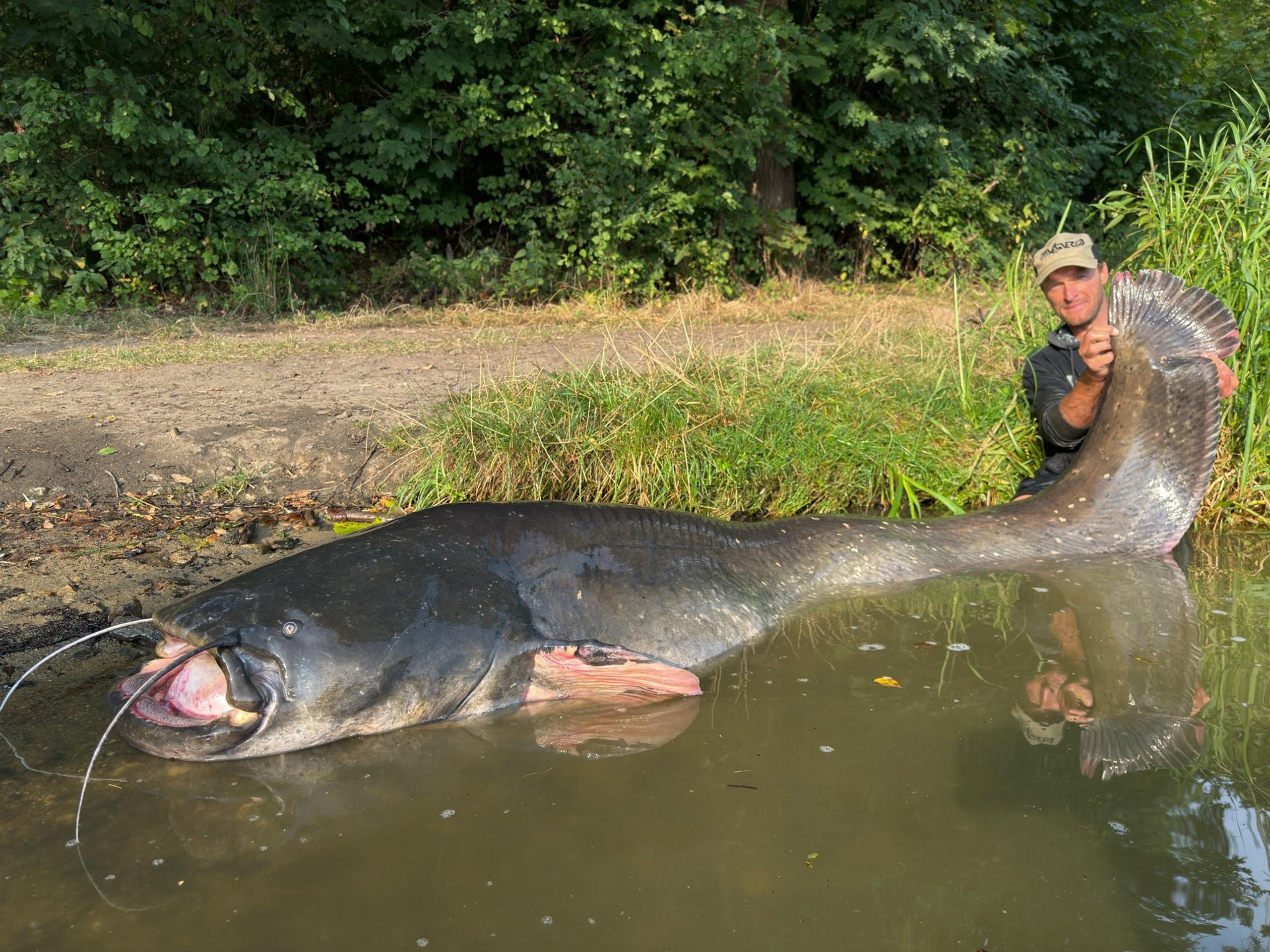 Jakub Vágner chytil rekordného sumca.