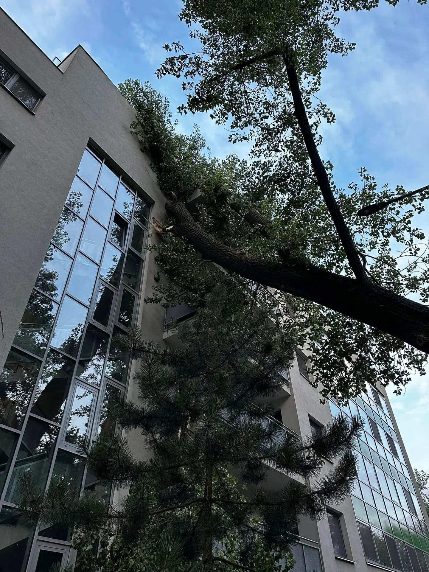 Spadnutý strom poškodil bytovku v Bratislave.