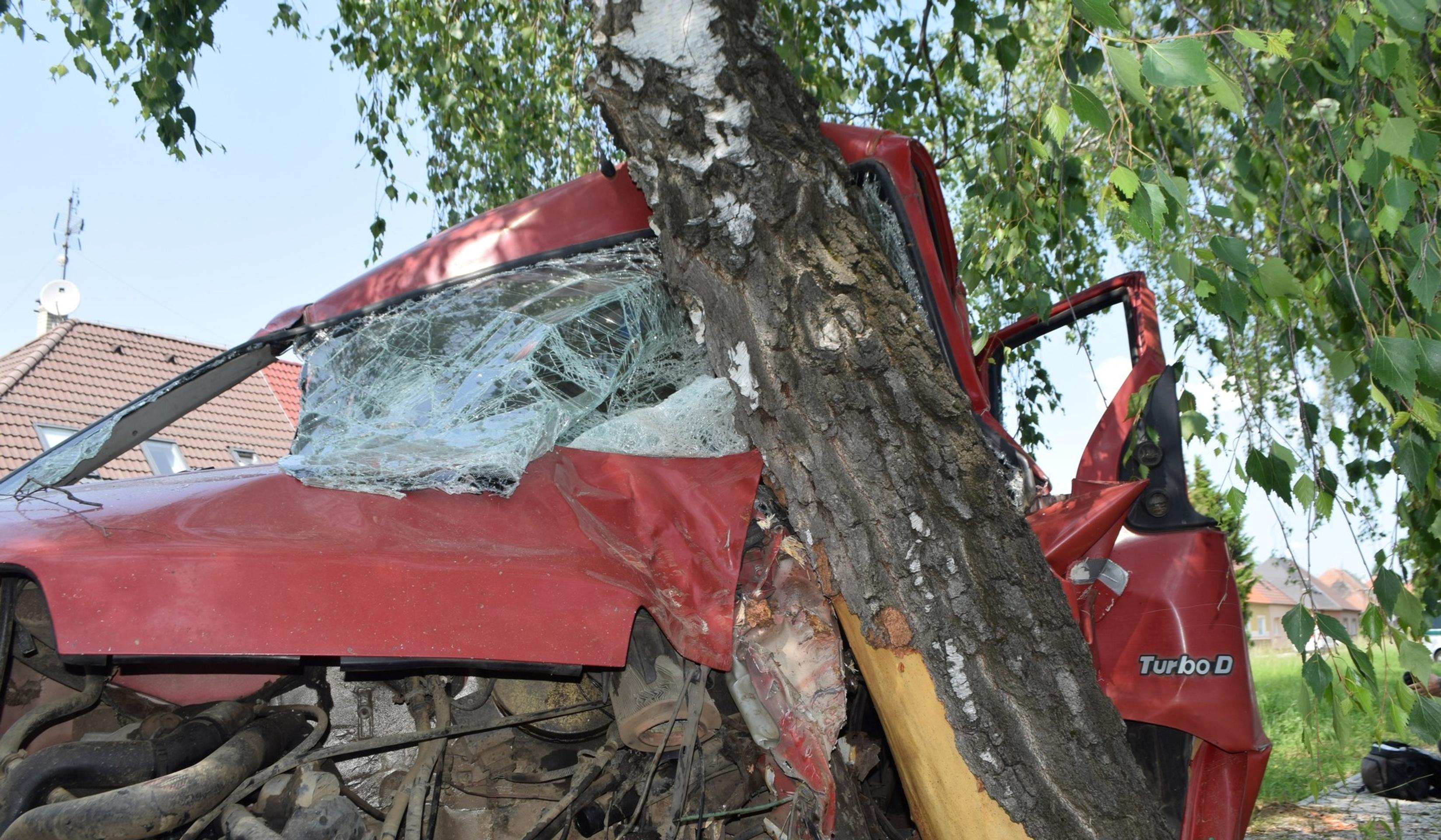Dvaja muži narazili do stromu. Jeden nafúkal, druhý ušiel.