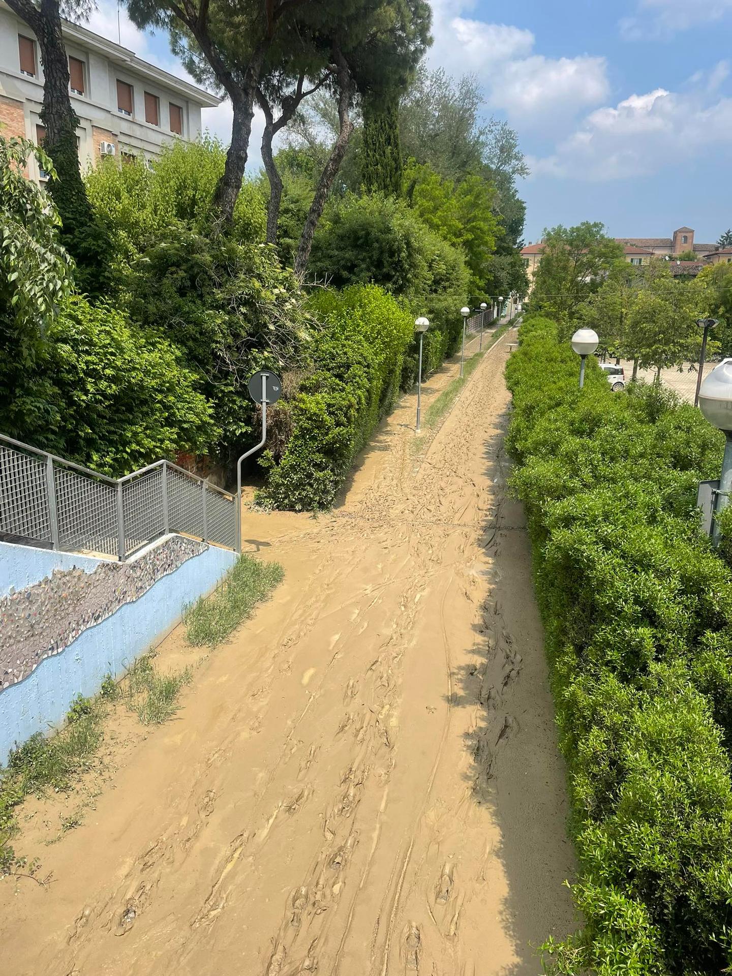 Vysokoškoláčka pomáhala vo Forli