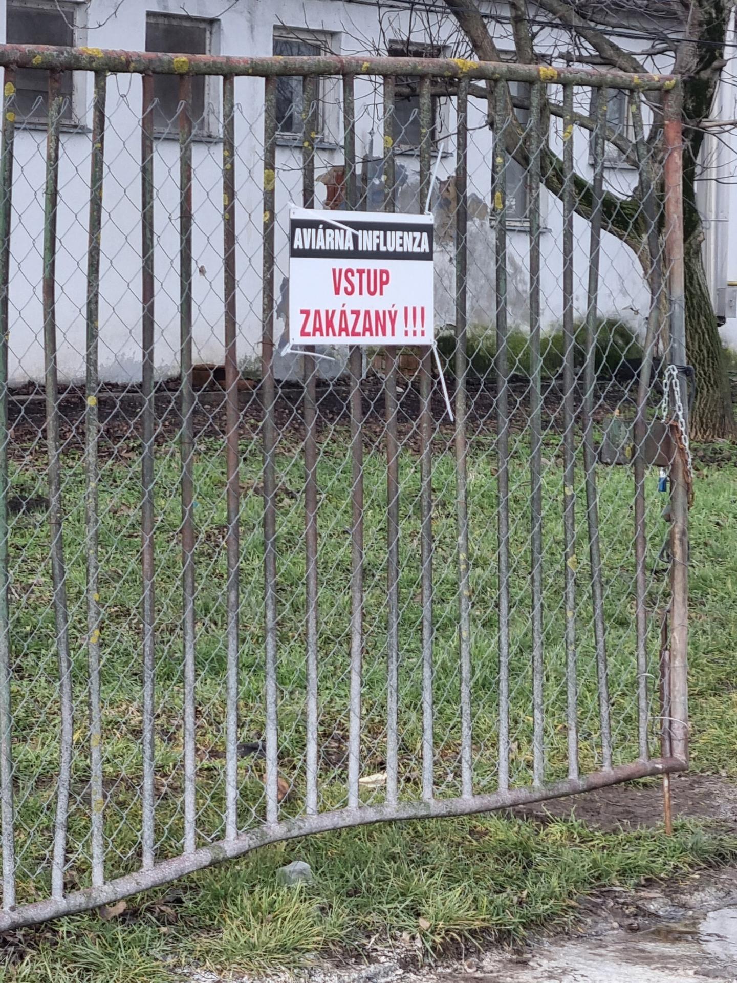 Vtáčia chrípka na farme Čalovec