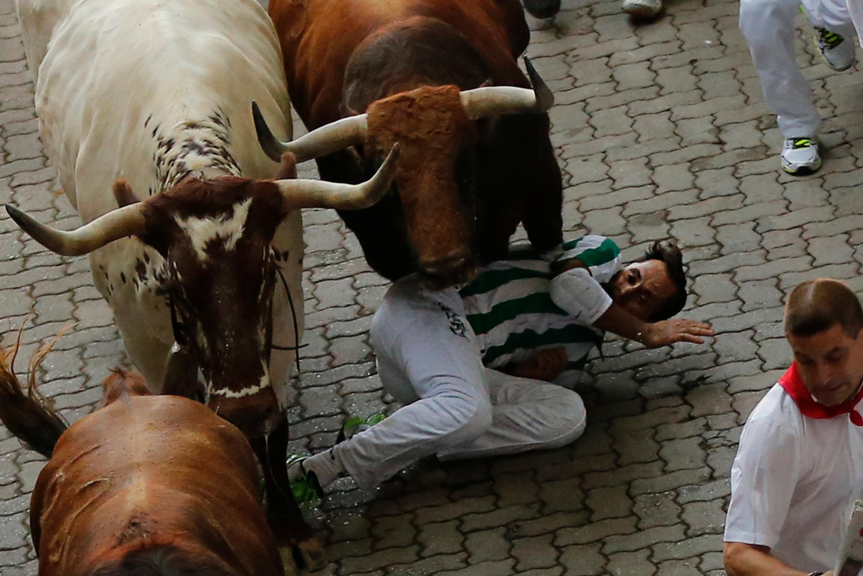 Býky na tradičnom behu v Pamplone zabíjali.