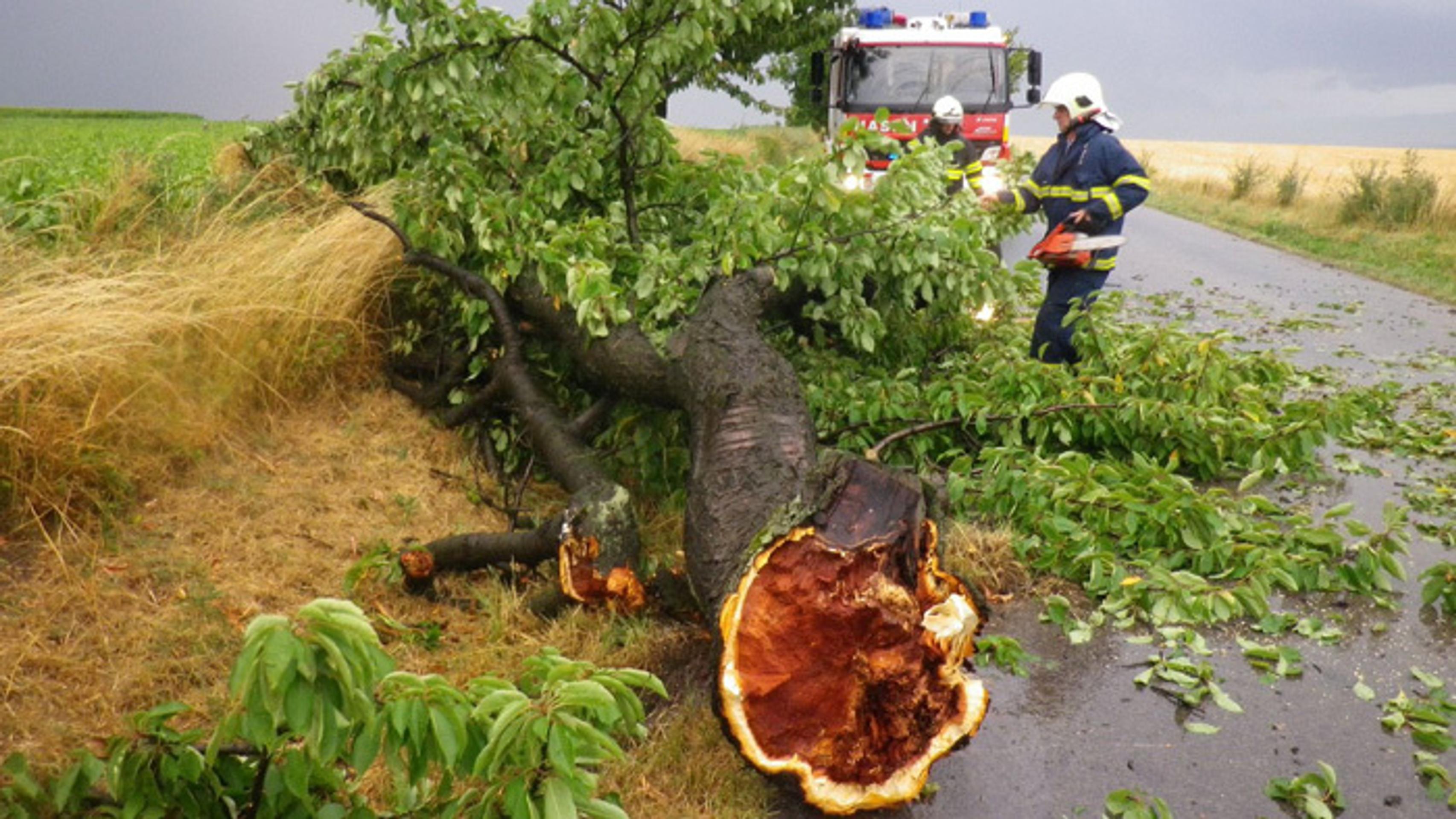 Odstraňovanie následkov búrky v okrese Bánovce nad Bebravou.