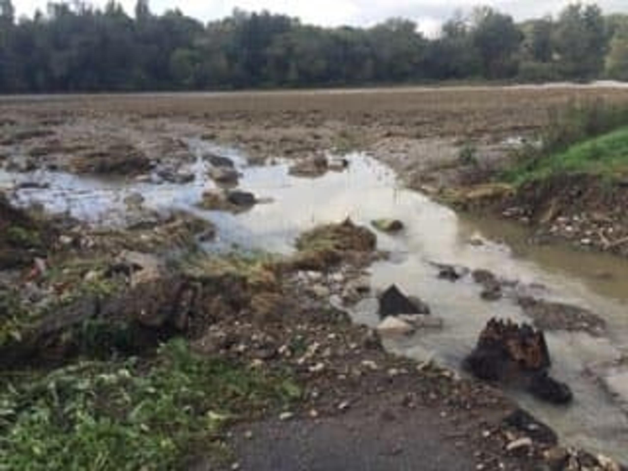 Rozbitá cyklotrasa.