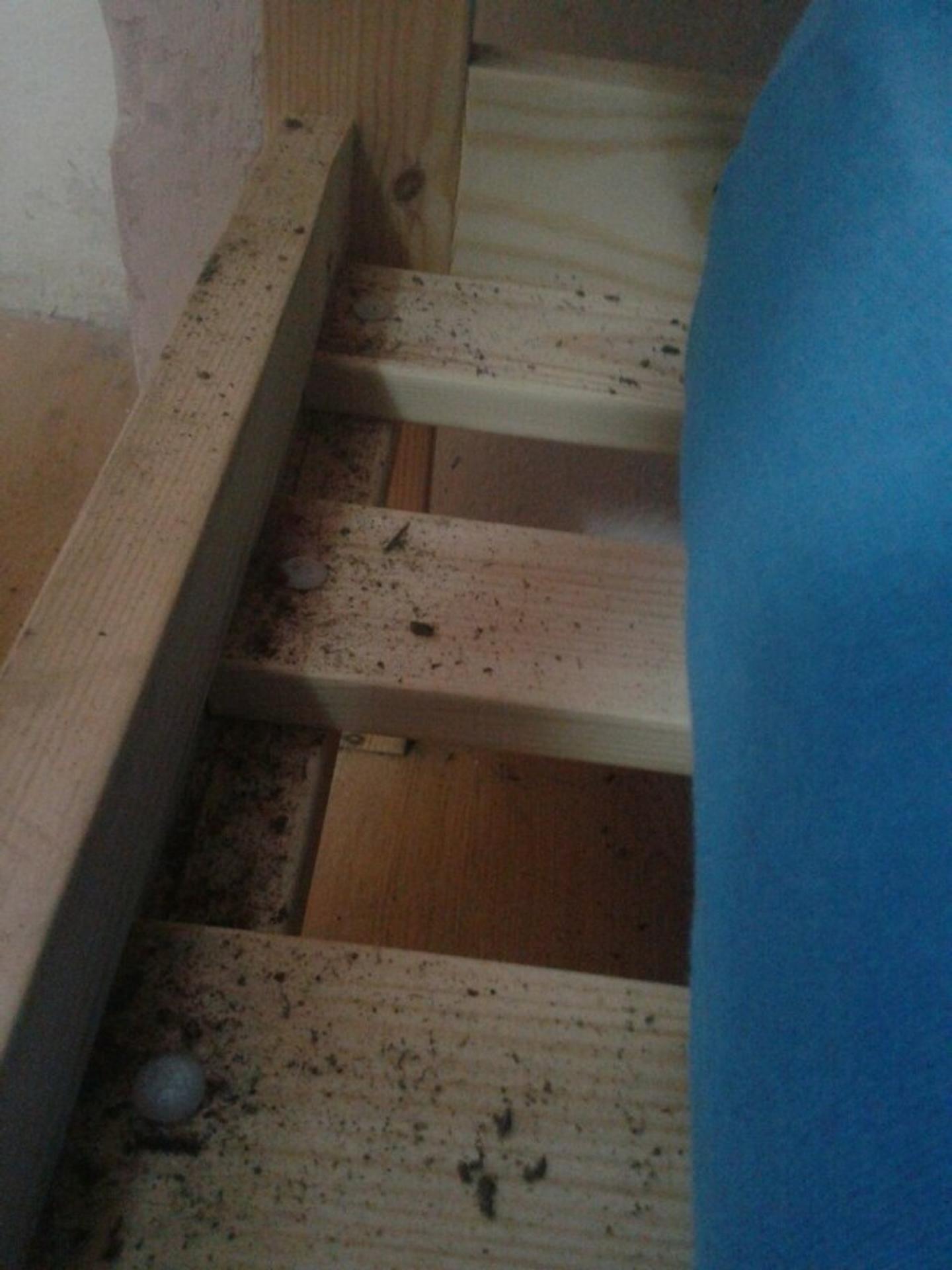 Tábor vo Varvažově