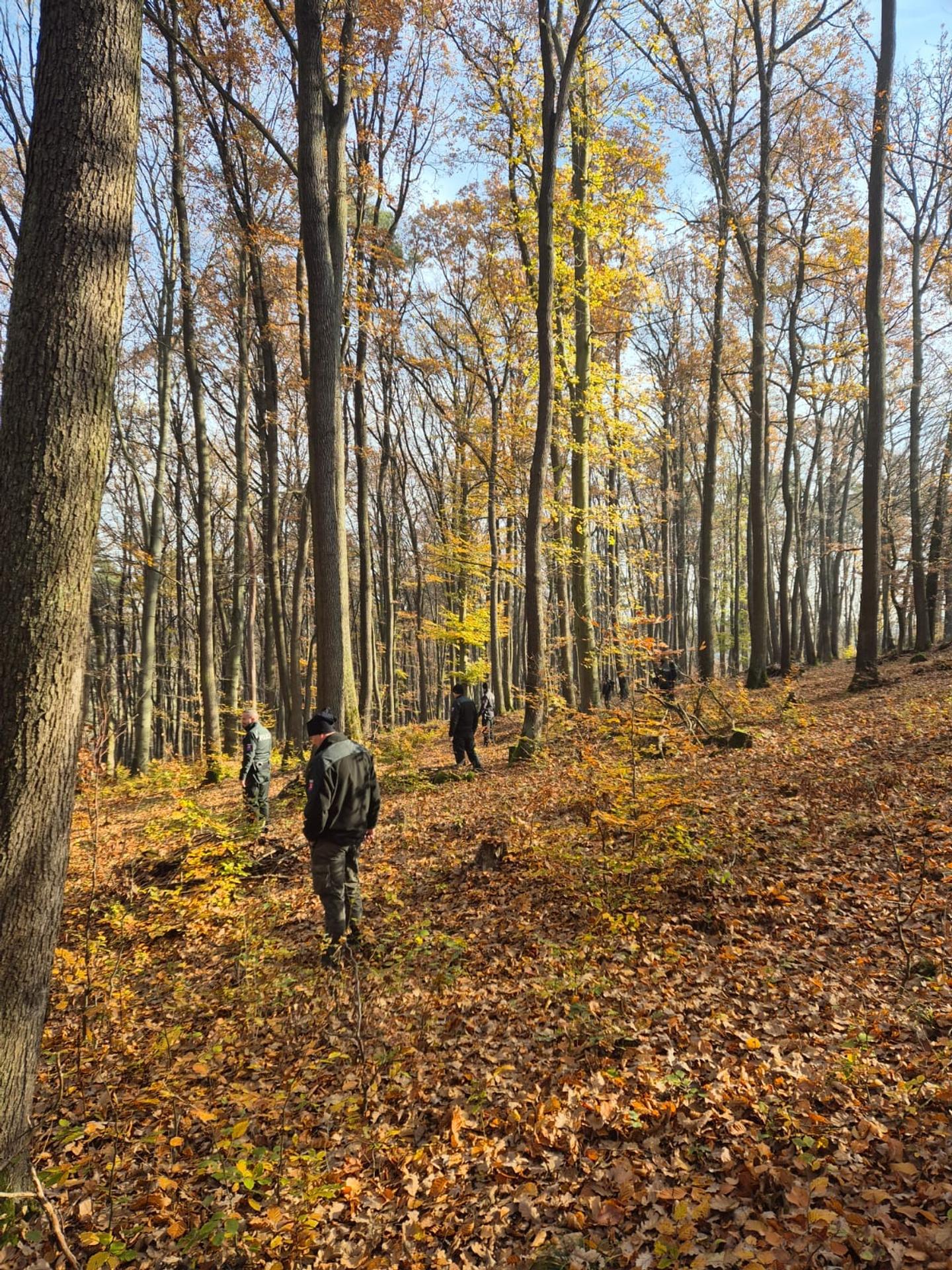 Pátranie po nezvestnom Dávidovi Šeligovi.