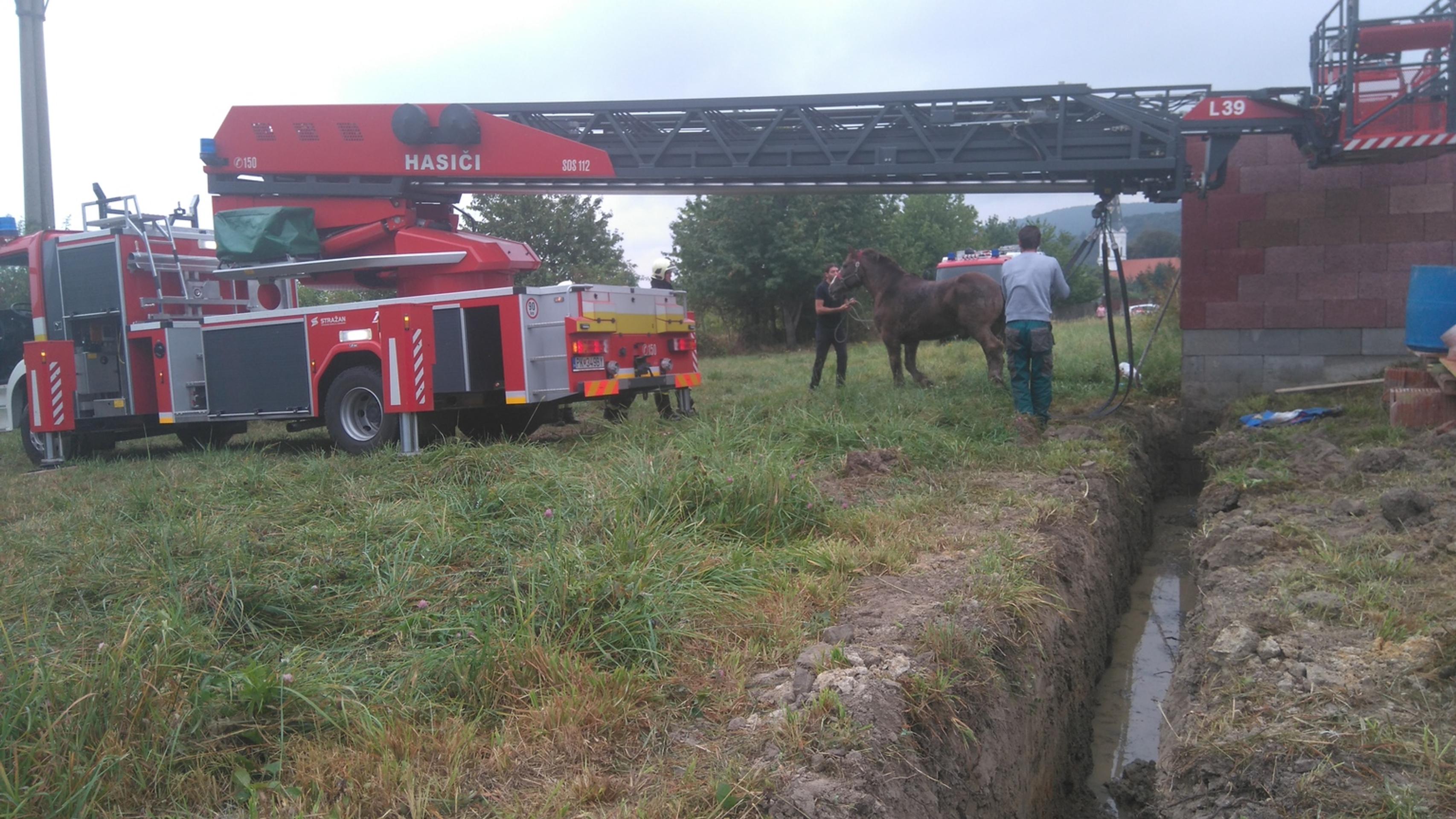 Hasičom z Pezinka sa dnes podarilo zachrániť ťažného koňa