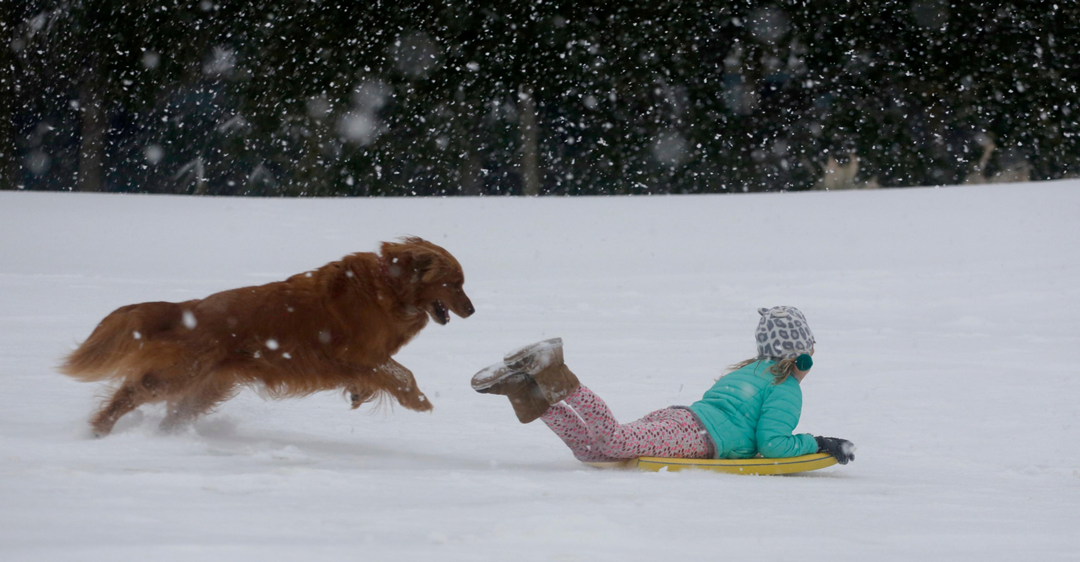 Toto by ste na Floride nečakali.