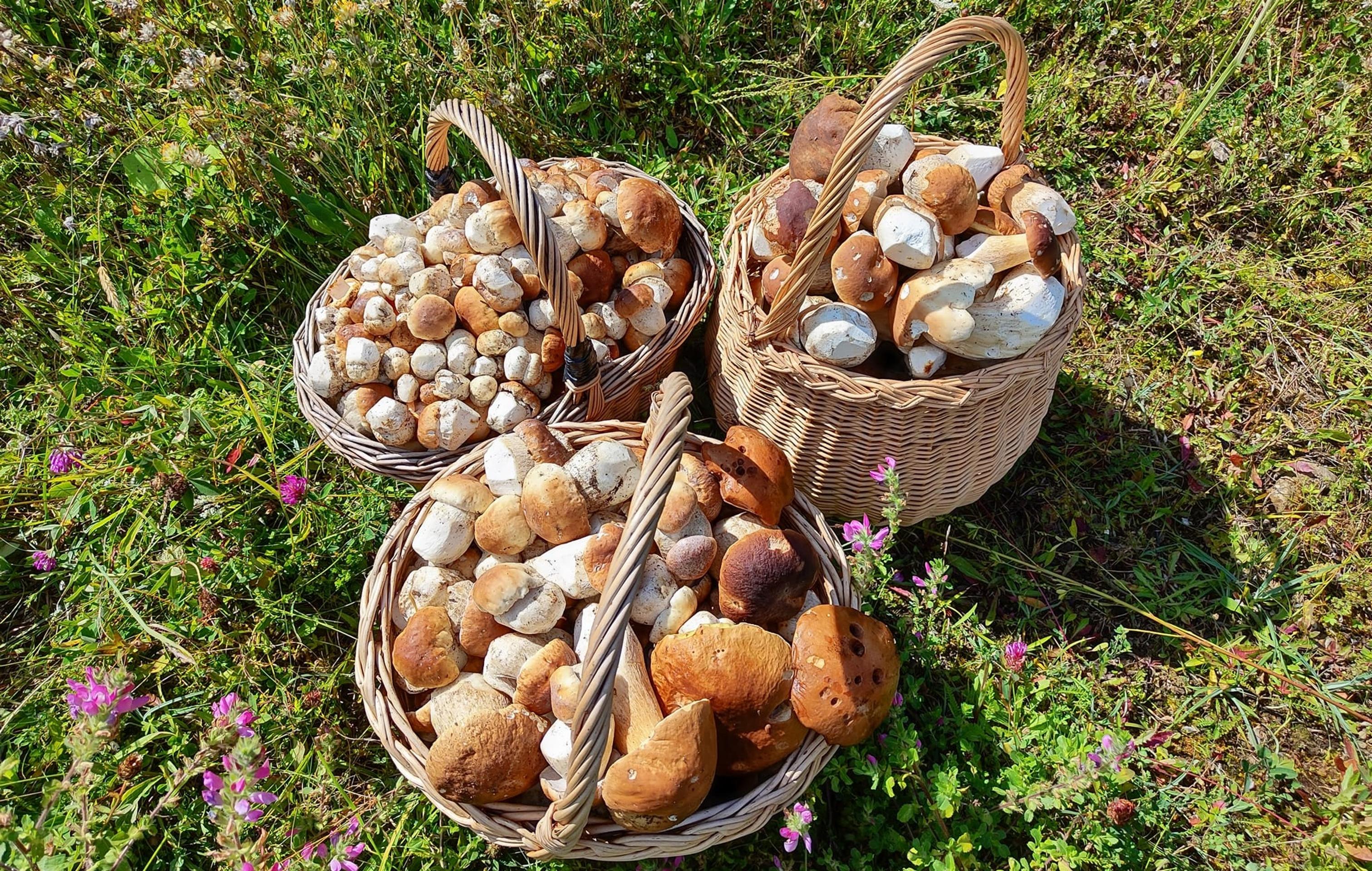 Fero Babiar odchádzal zo Spišskej Magury s troma plnými košmi.