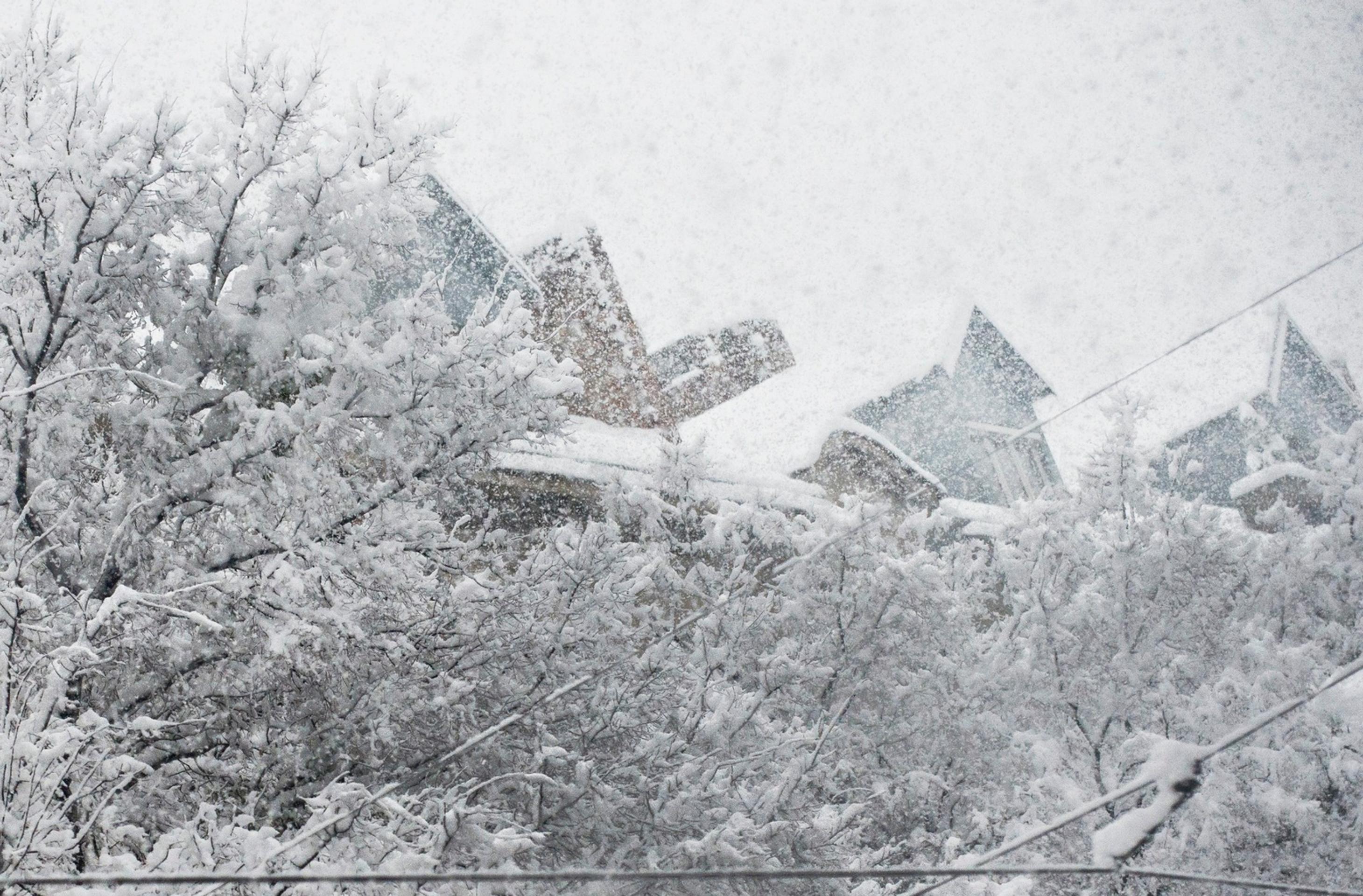 Snehová kalamita v Bratislave 30. januára 2015.jpg