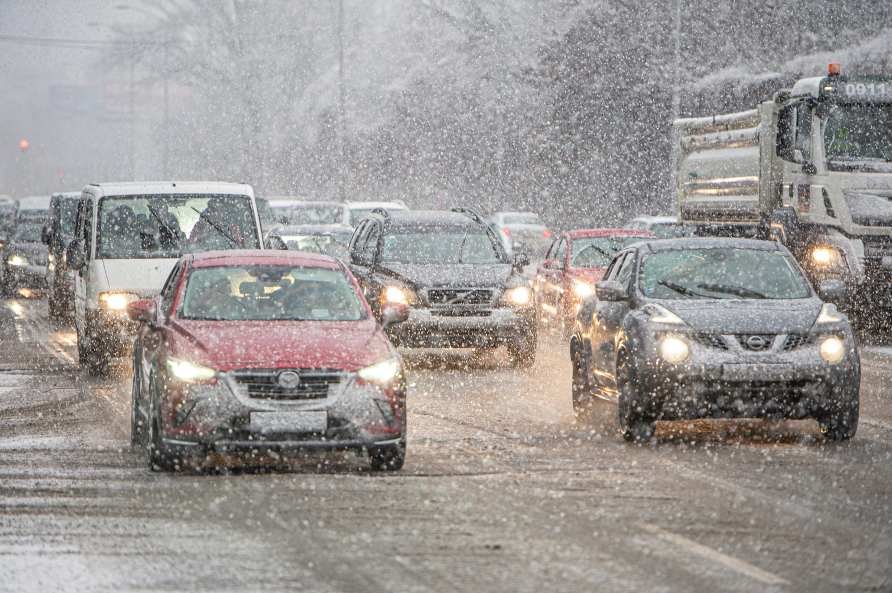 Toronto Maple Leafs vs Anaheim Ducks