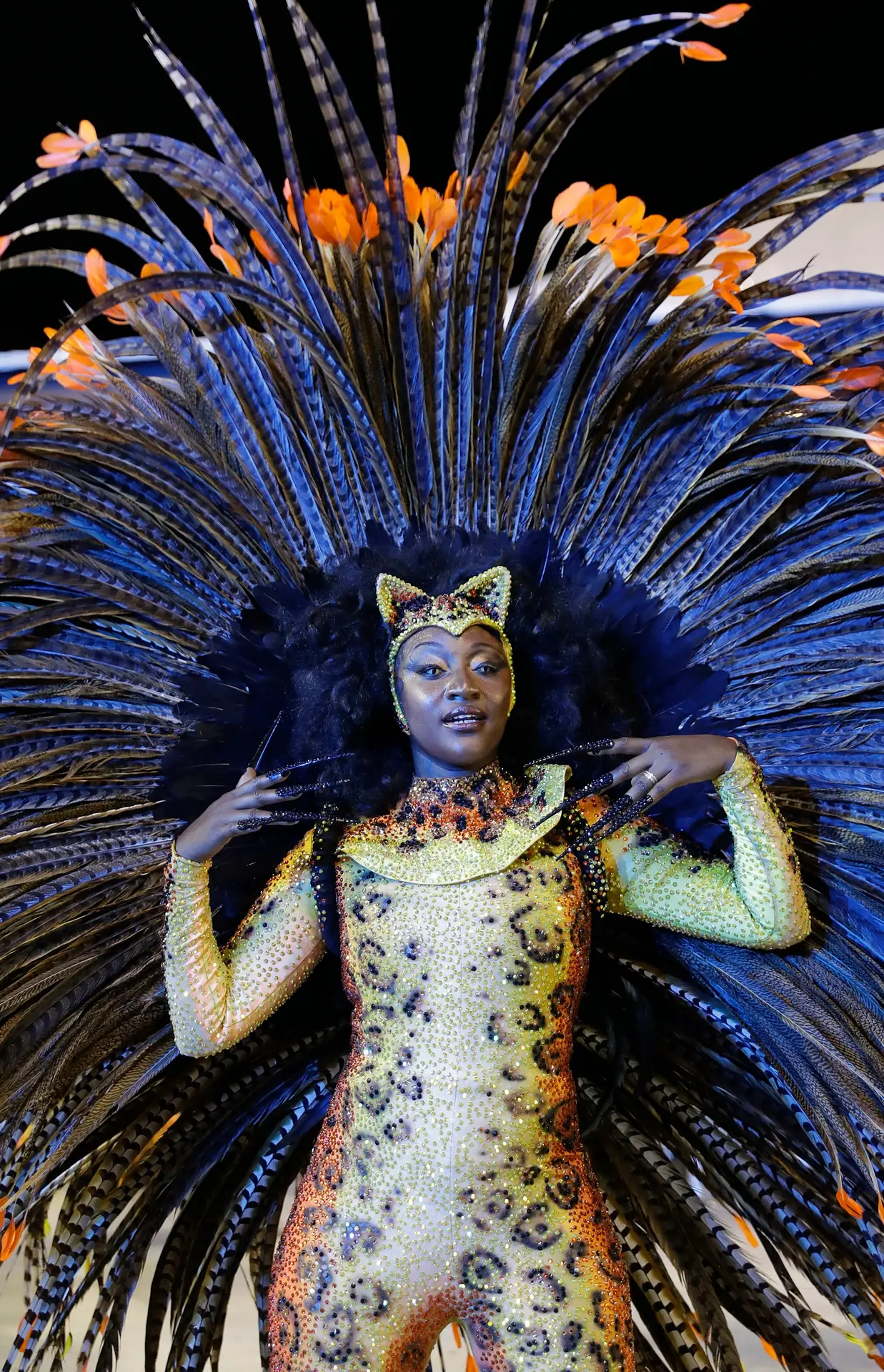 Karneval v Sao Paolo