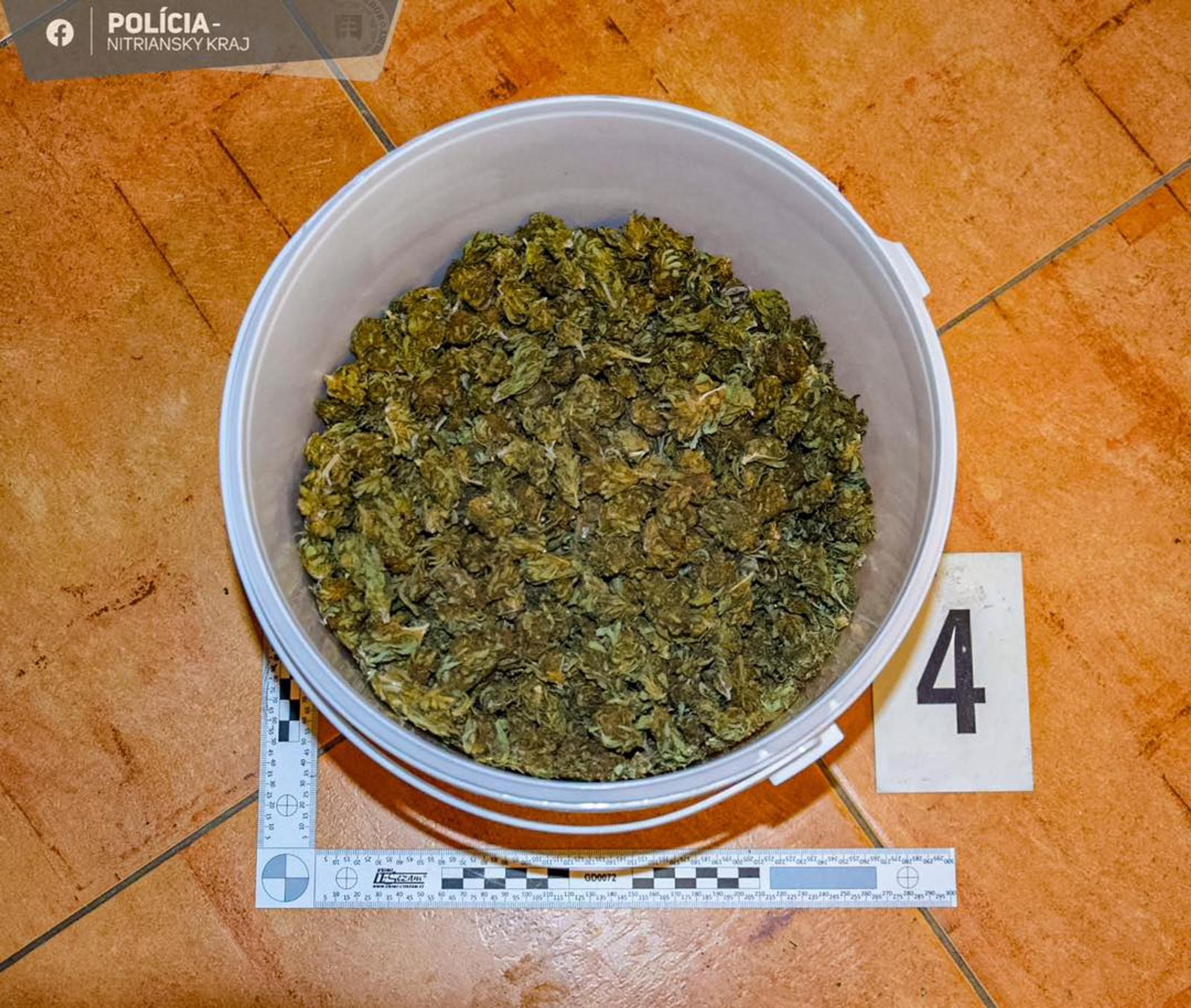 Čo zaistili policajti