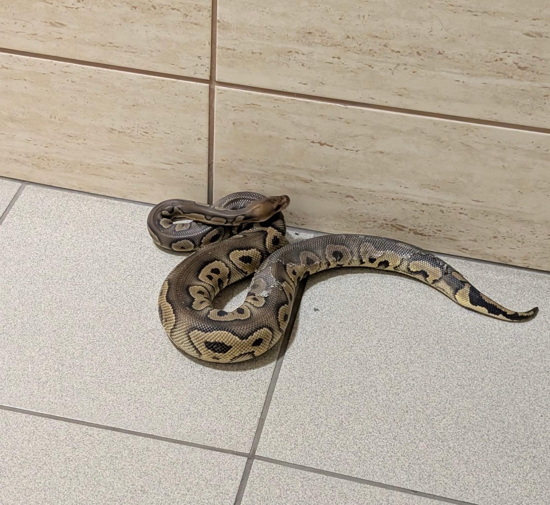 Záber zo spomínaného schodiska v Krakove.