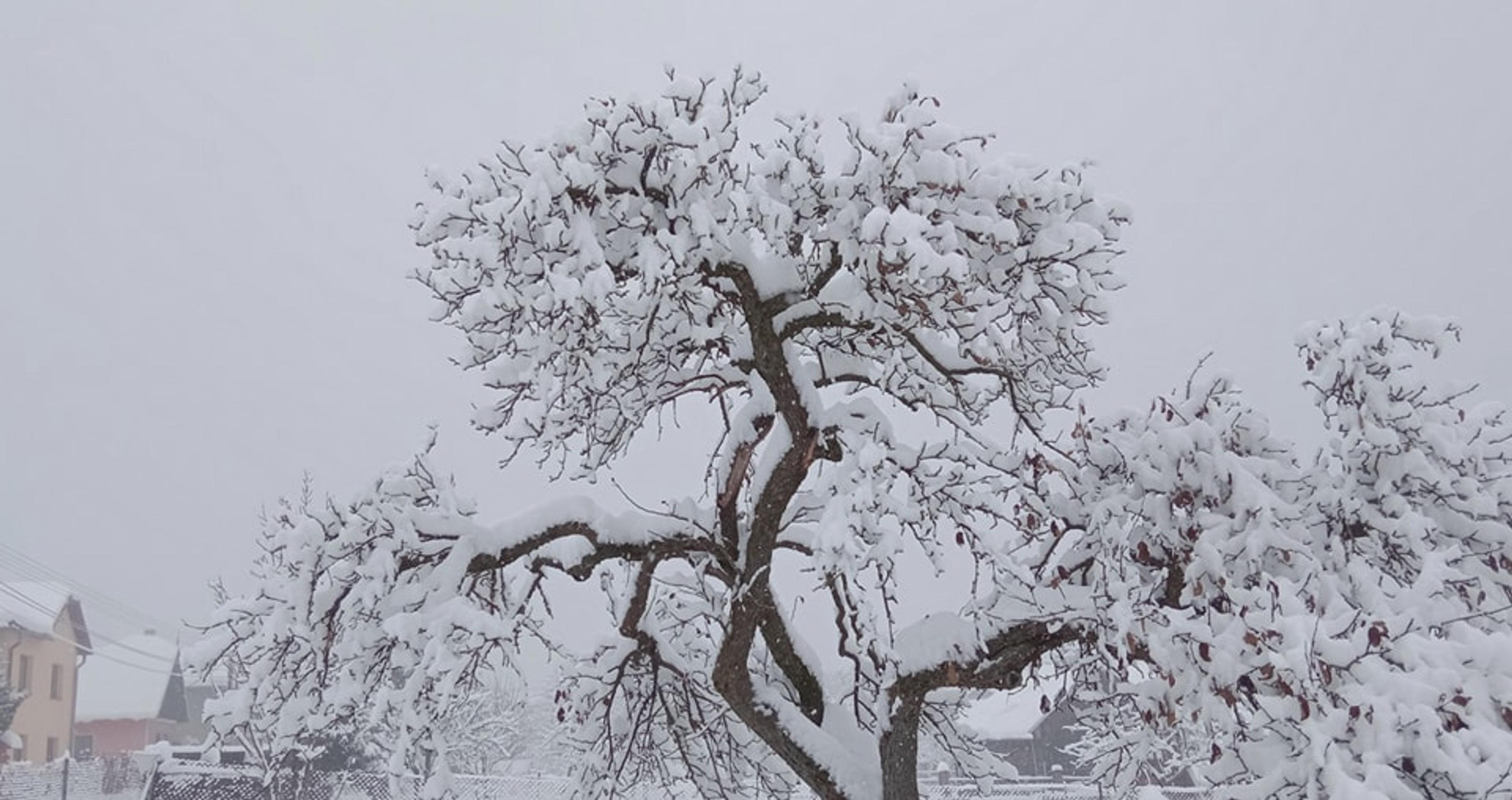 Bacúch v okrese Brezno