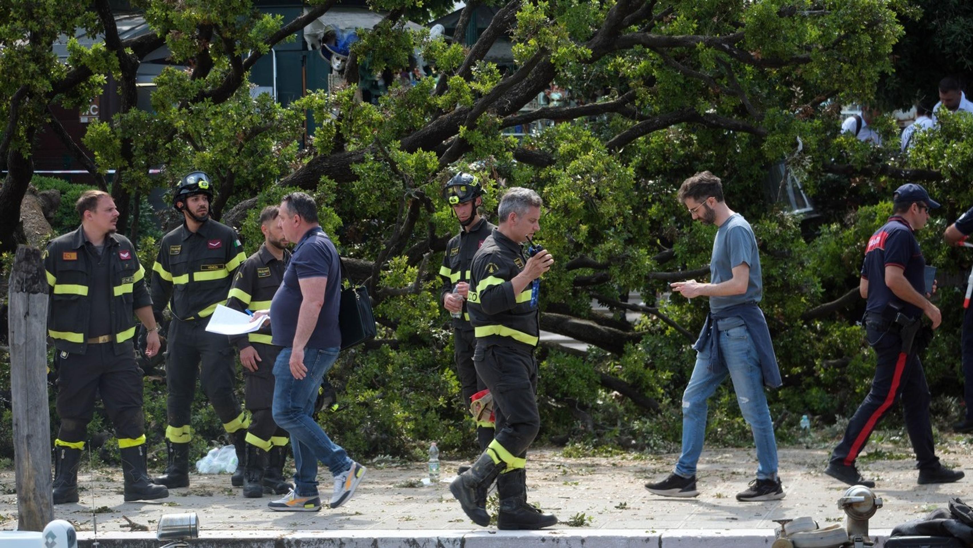 Na skupinu ľudí v Benátkach spadol dub