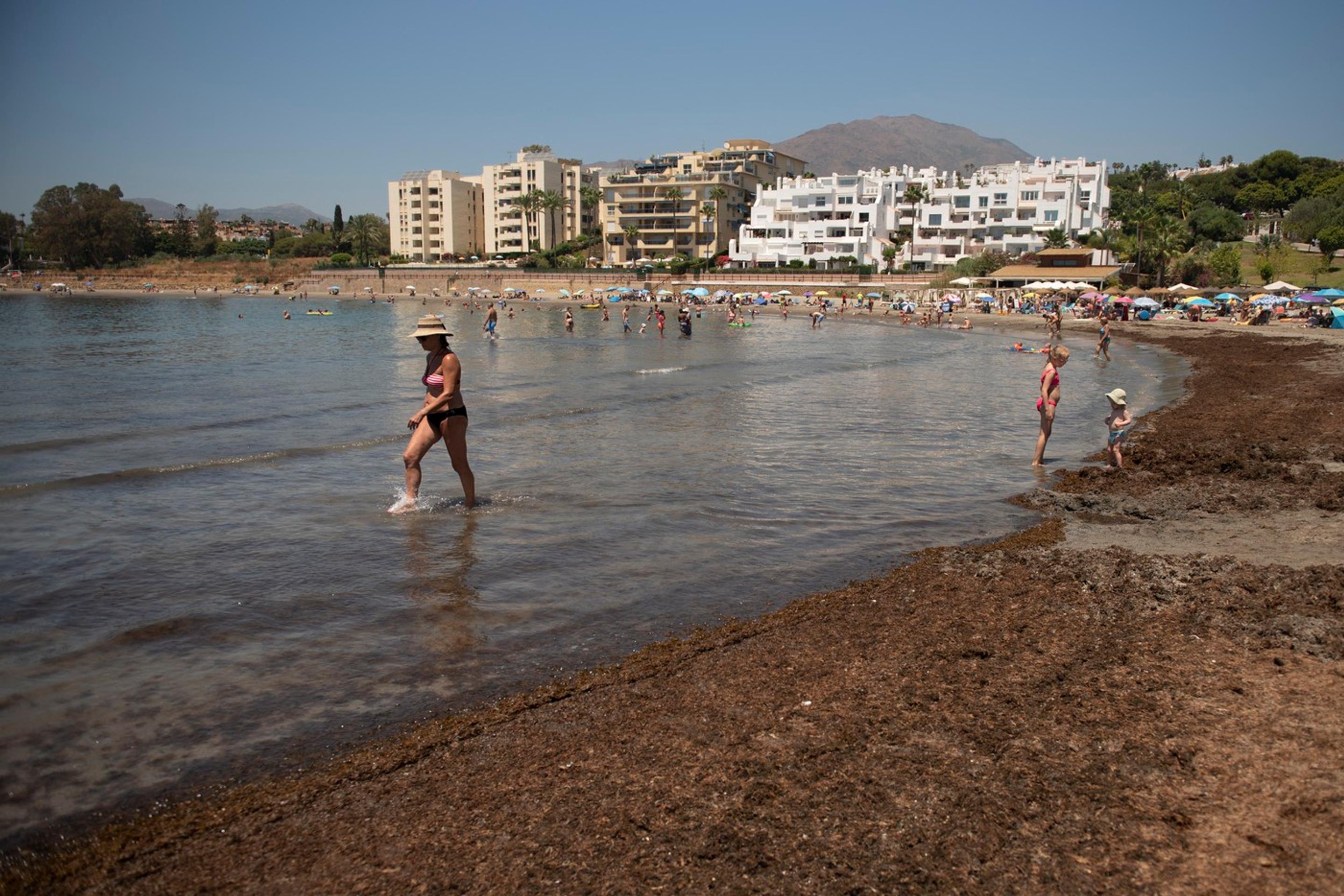 Ázijská riasa ničí pláže Španielska