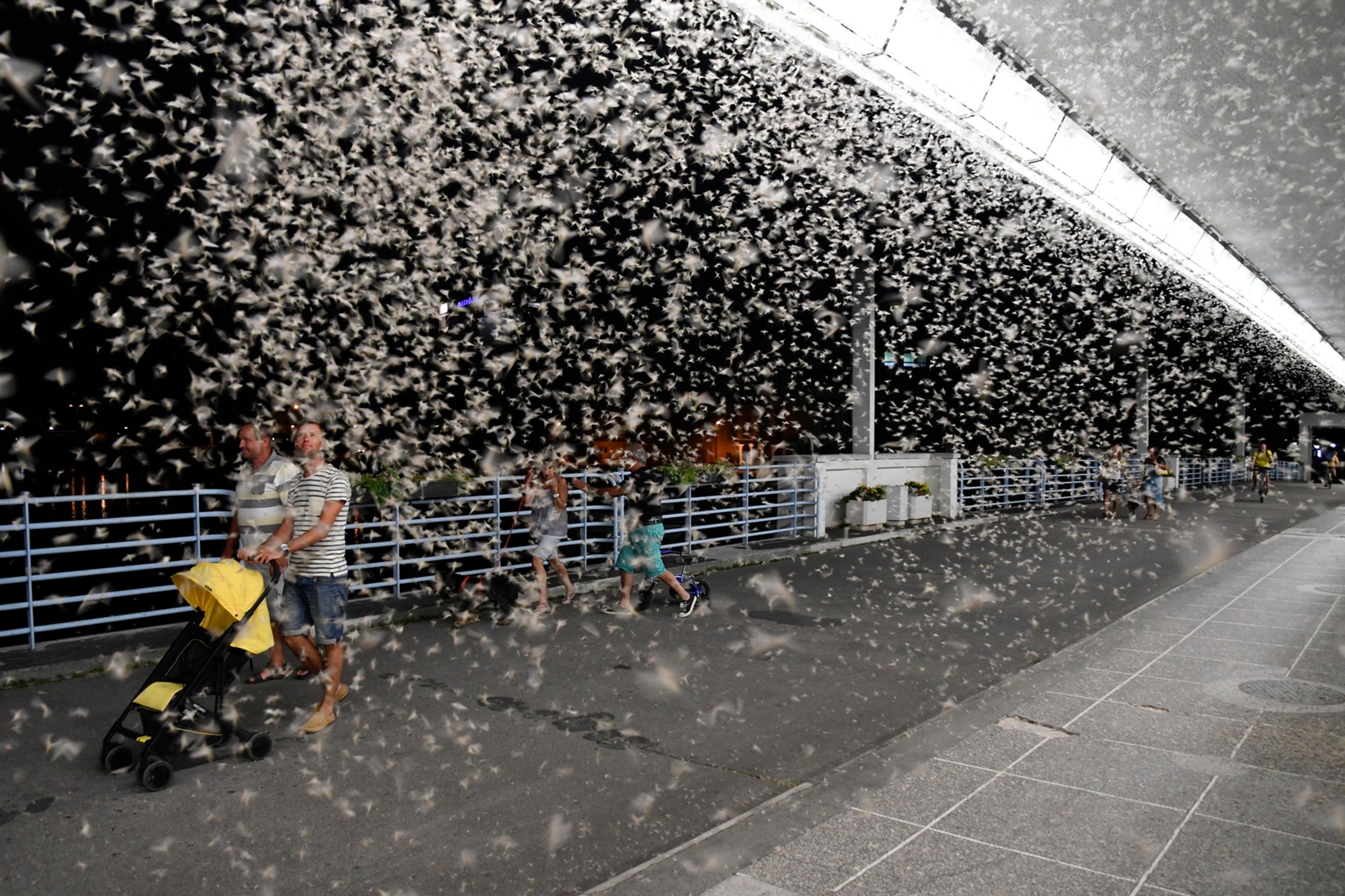 Na snímke Kolonádový most cez rieku Váh počas večerného rojenia podeniek