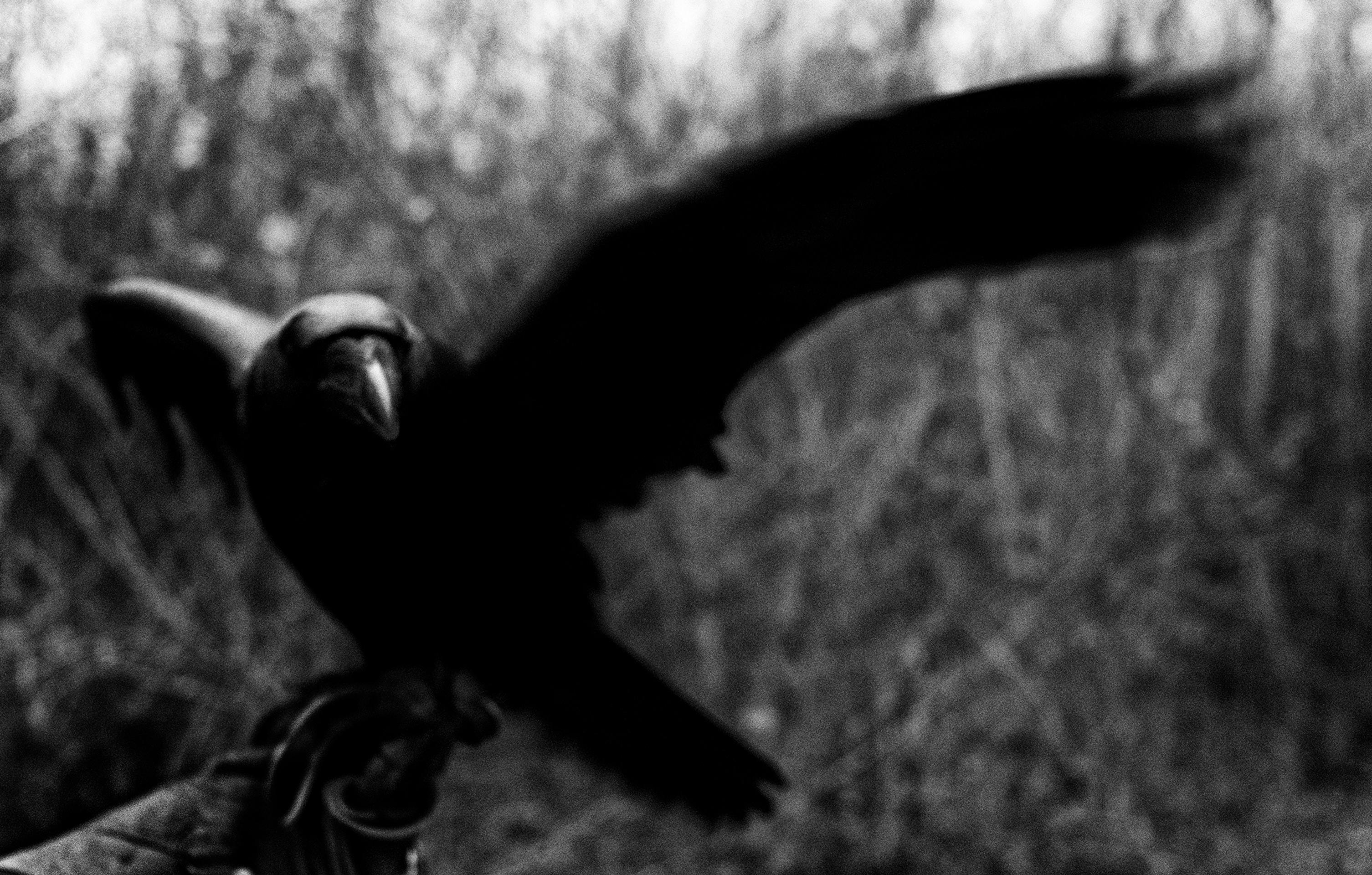 Fotografia z projektu MOMENT.