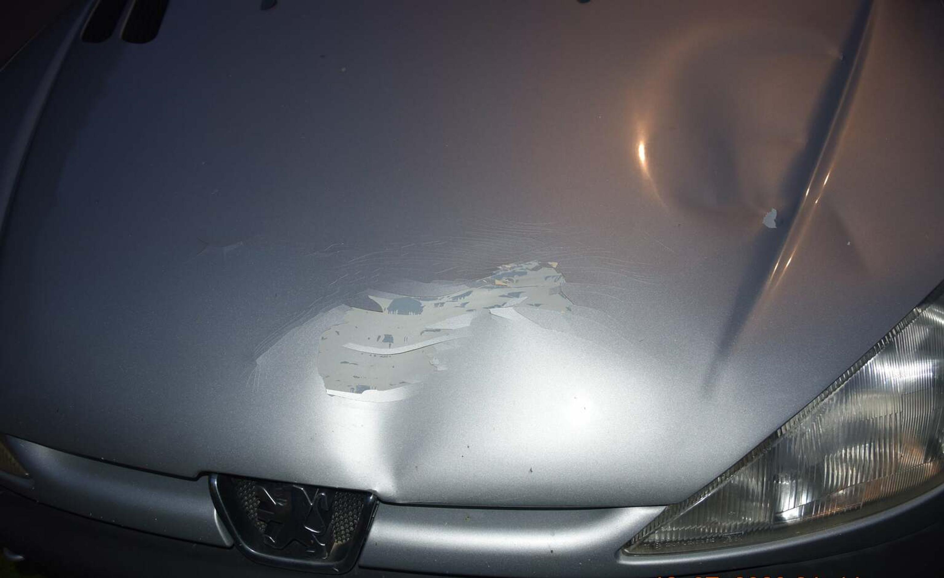 Kapota auta, ktoré vrazilo do koňa s jazdkyňou v obci Dolná Poruba.