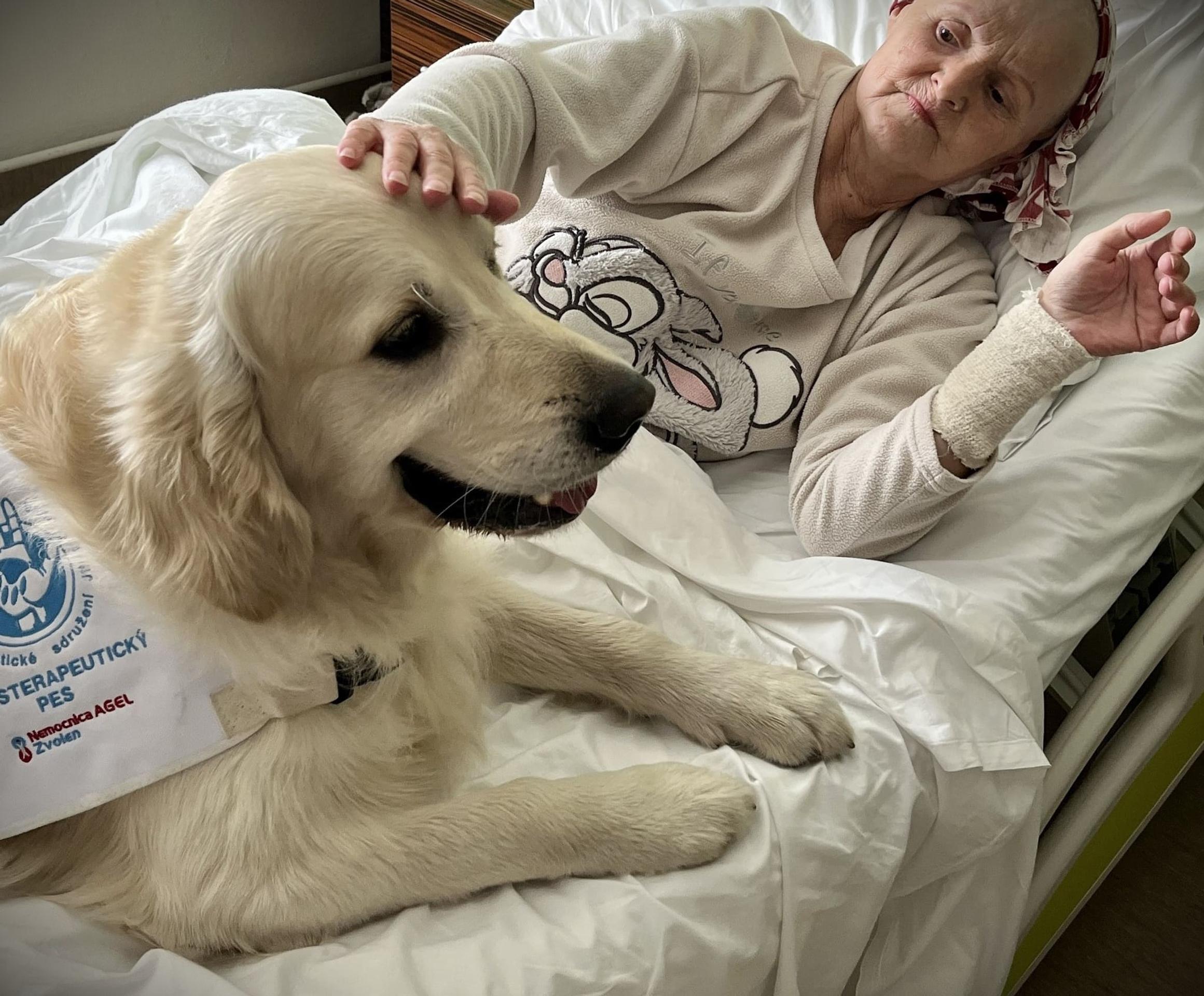 Psíci rozdávajú radosť vo zvolenskej nemocnici.