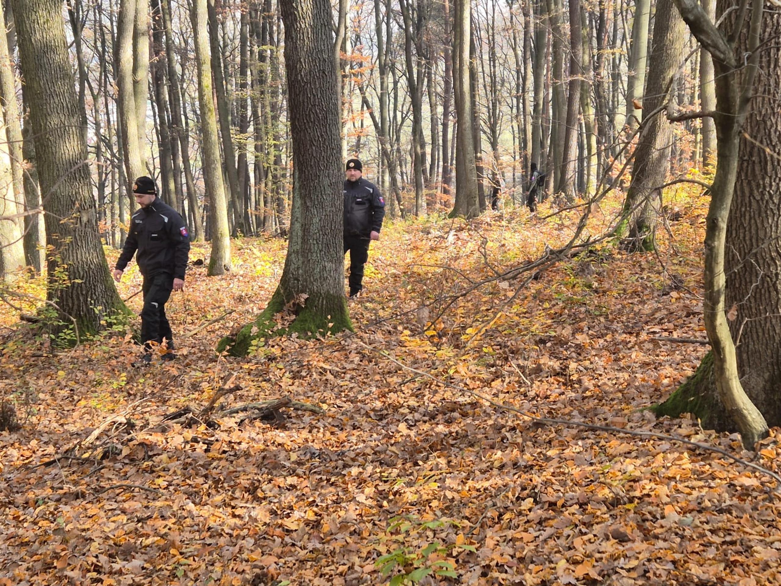 Pátracia akcia na východe Slovenska.
