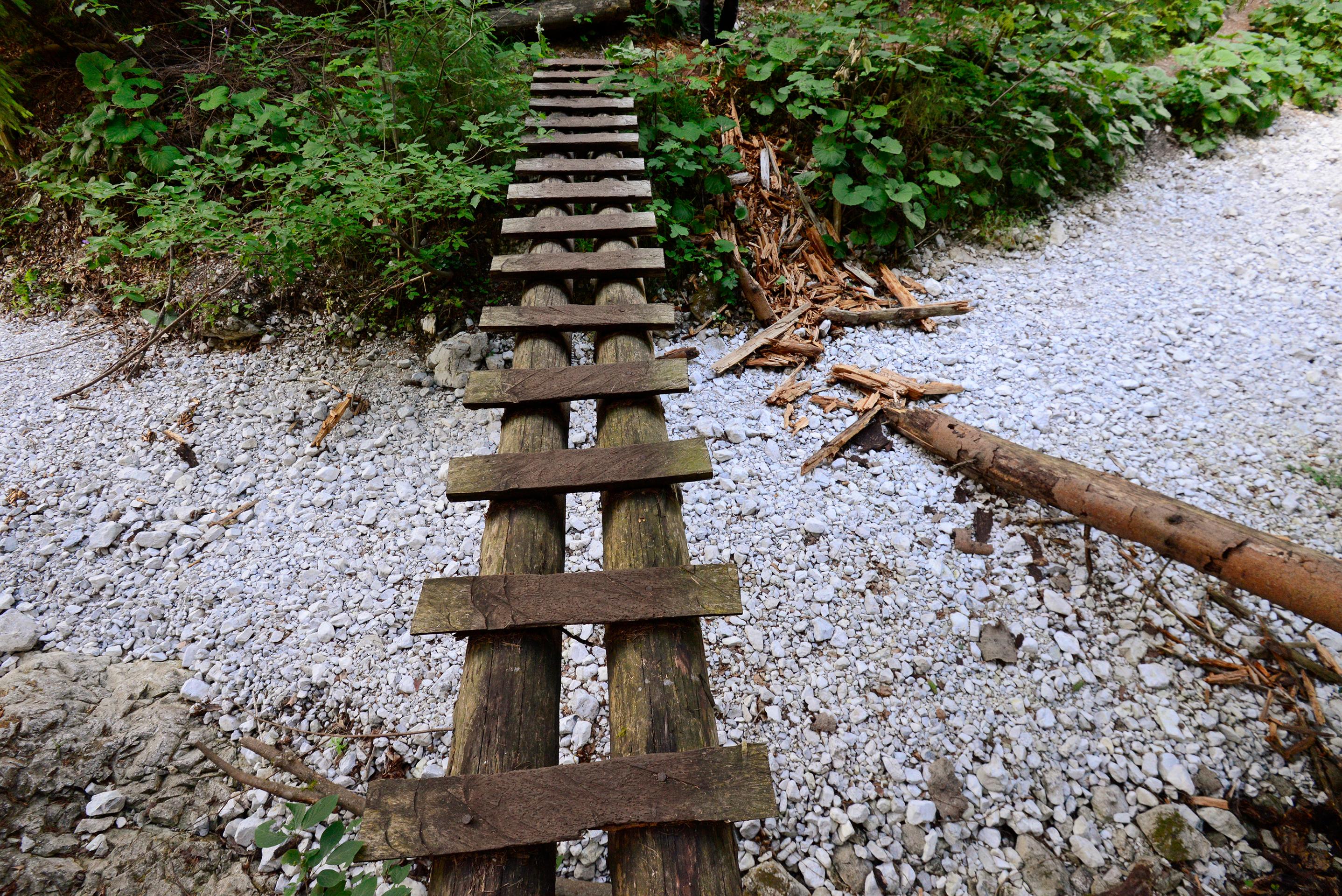 Vyschnuté koryto potoka rokliny Piecky (14.7.2022)