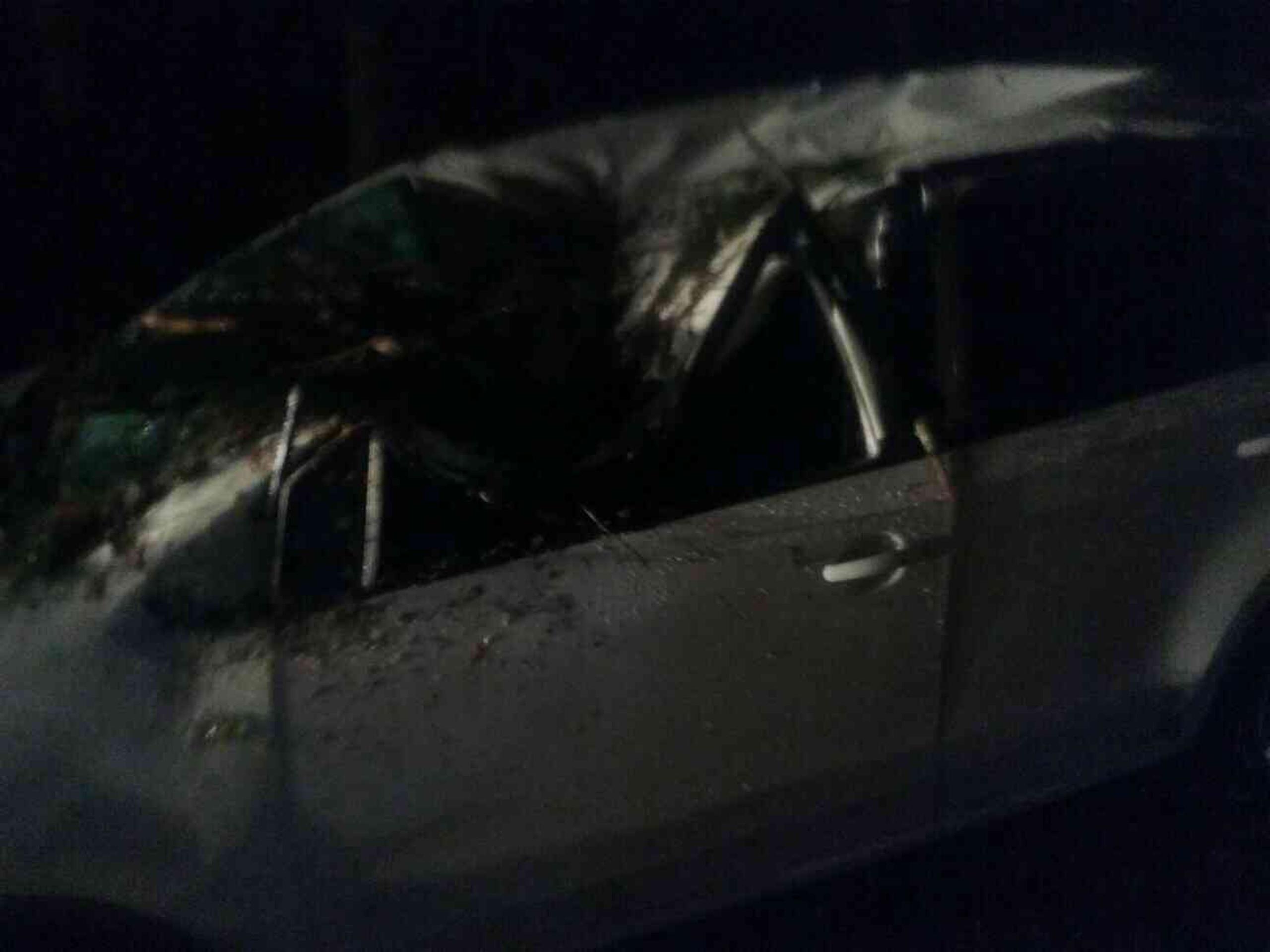 Na mladíka v aute spadol strom.