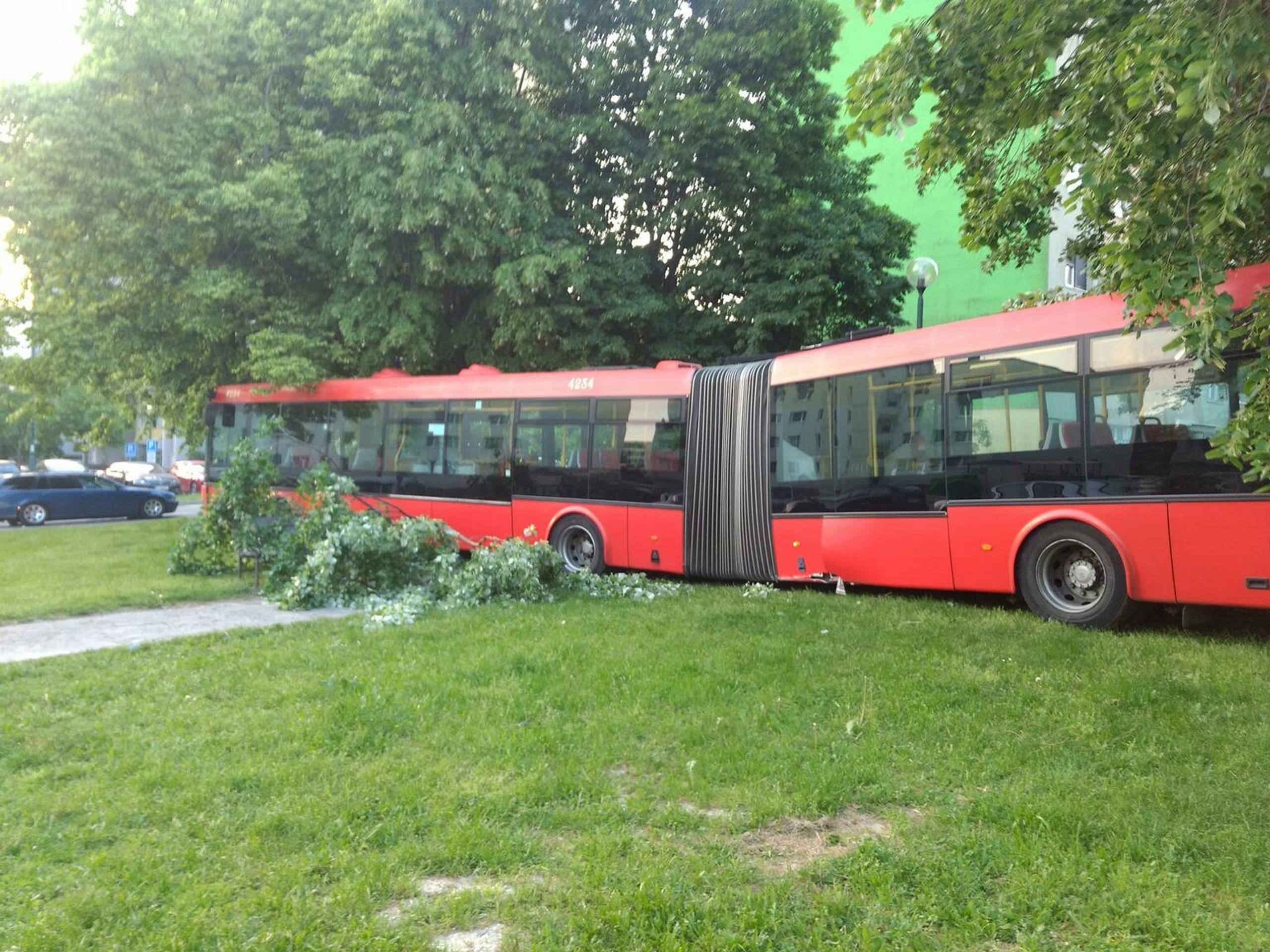 Autobus bez kontroly zastavili až stromy.