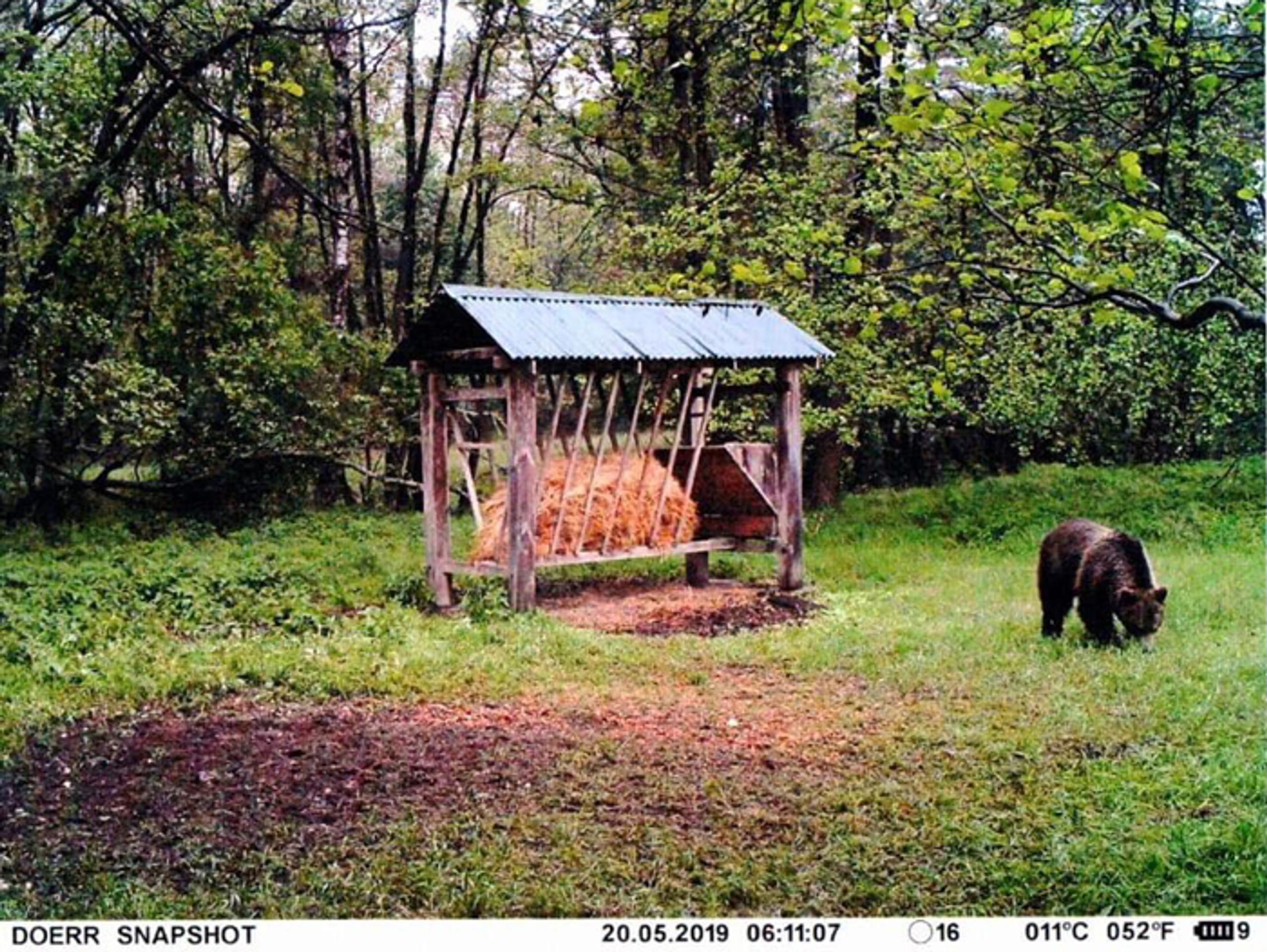 Dôchodca Luigi slepo dôveroval navigácii.  
