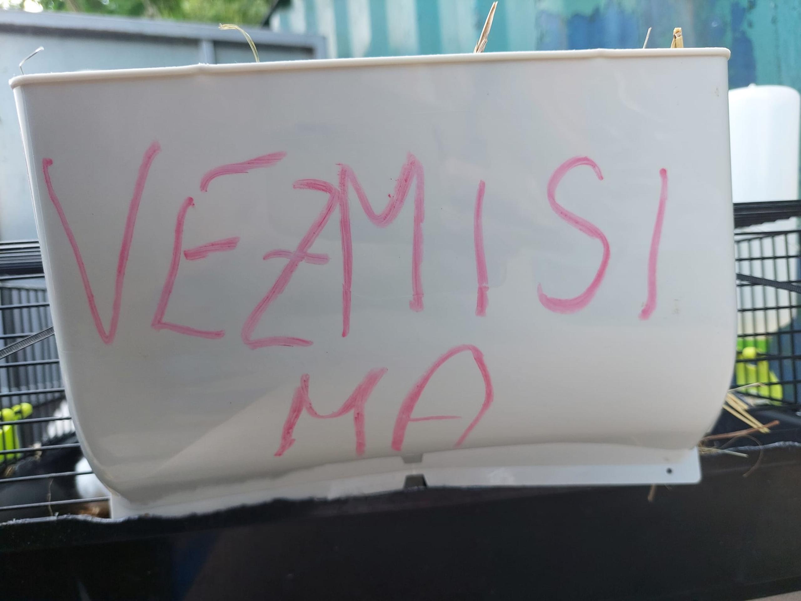 Nitriansky útulok zachraňoval z horúcich klietok zajace