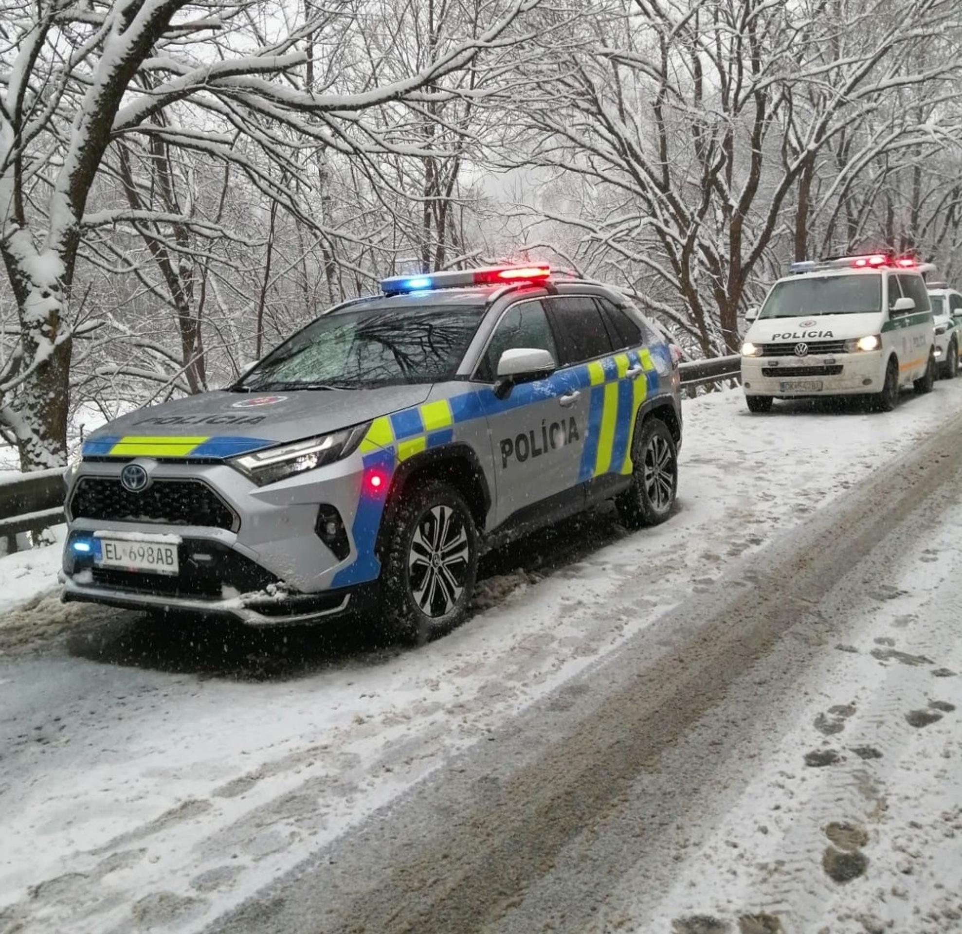 Extrémna poľadovica a sneh