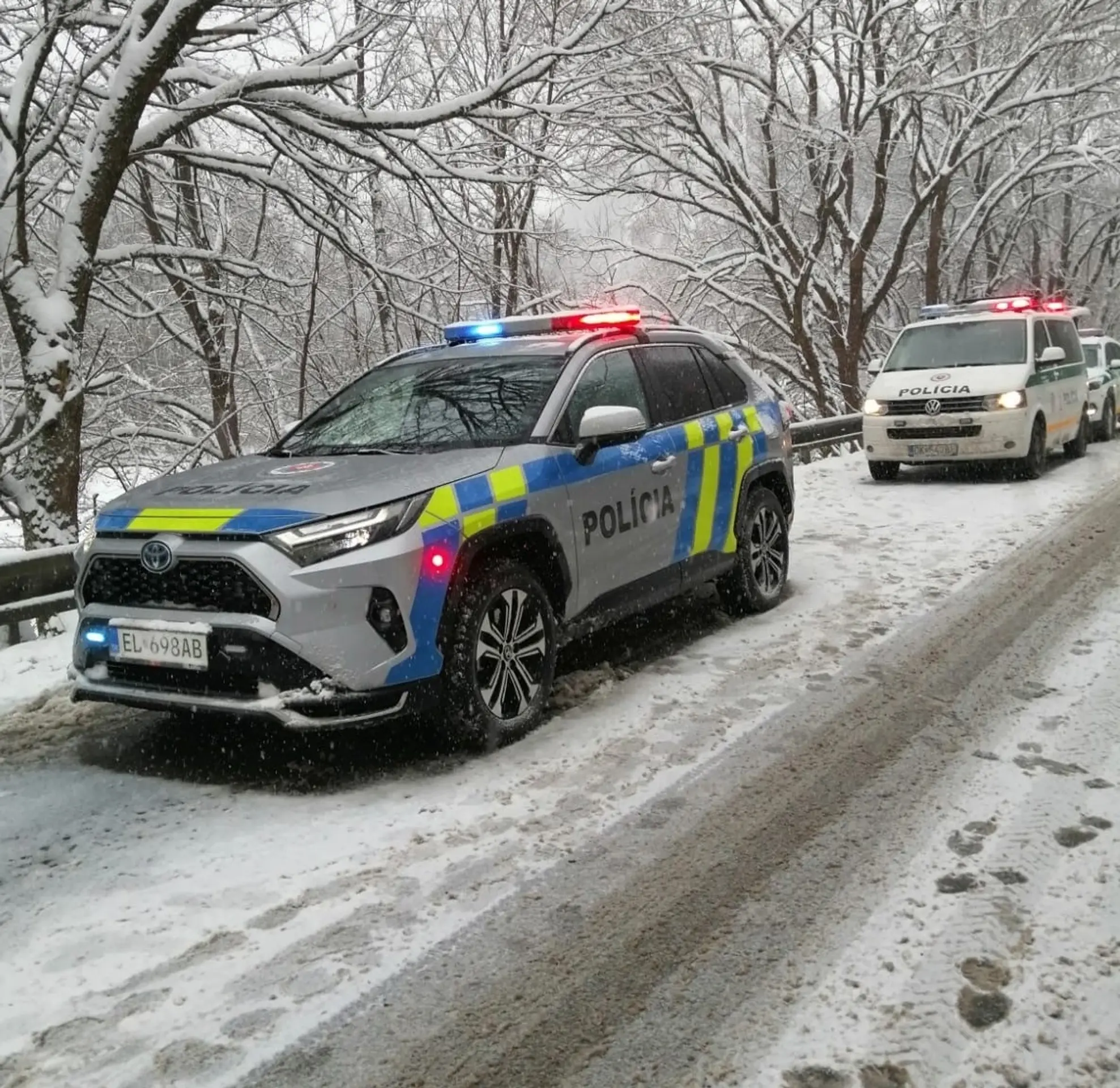 Extrémna poľadovica a sneh
