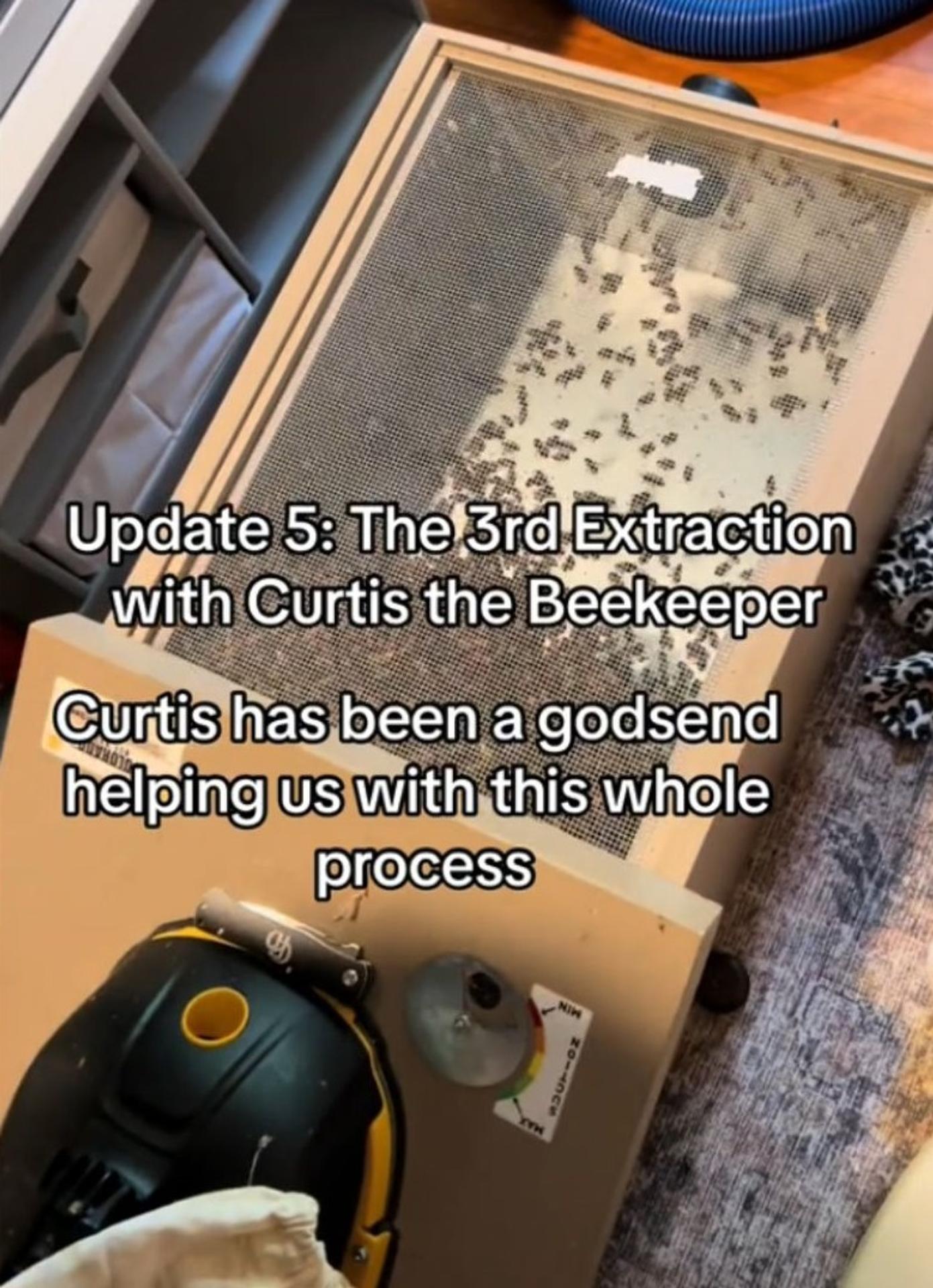 Včely sa usídlili v stene rodinného domu.