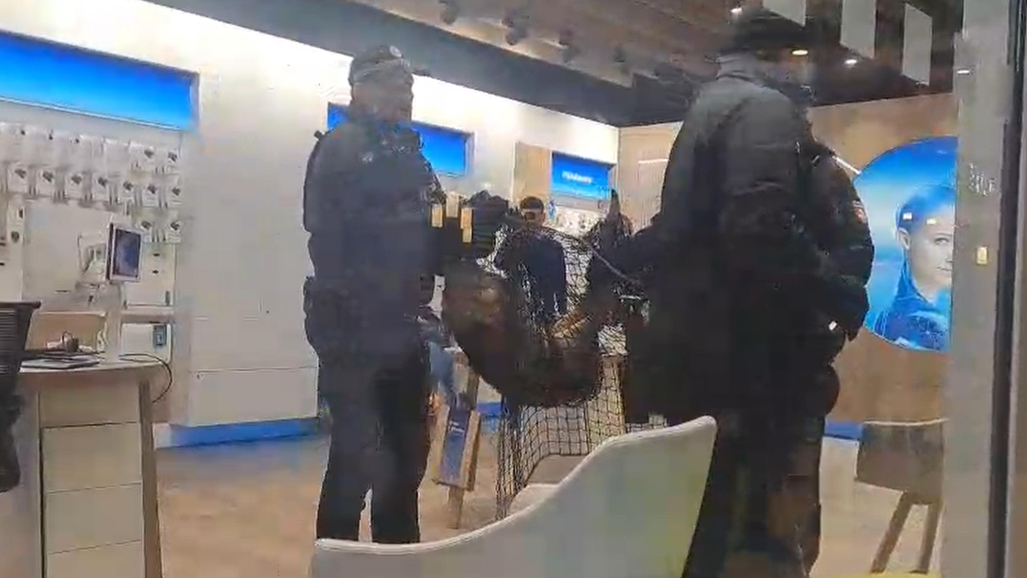 Do pardubického obchodného domu vošla srnka