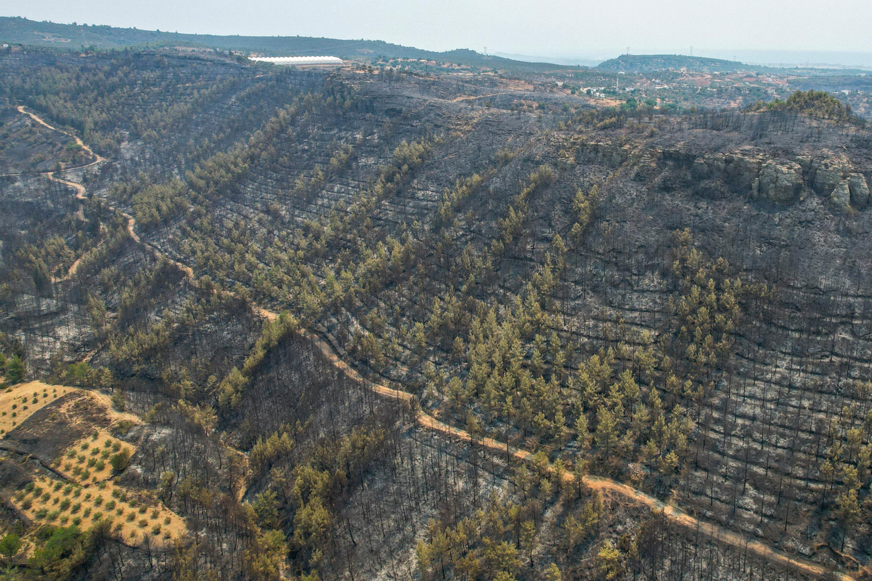 Následky požiaru v okolí tureckého mesta Antalya.
