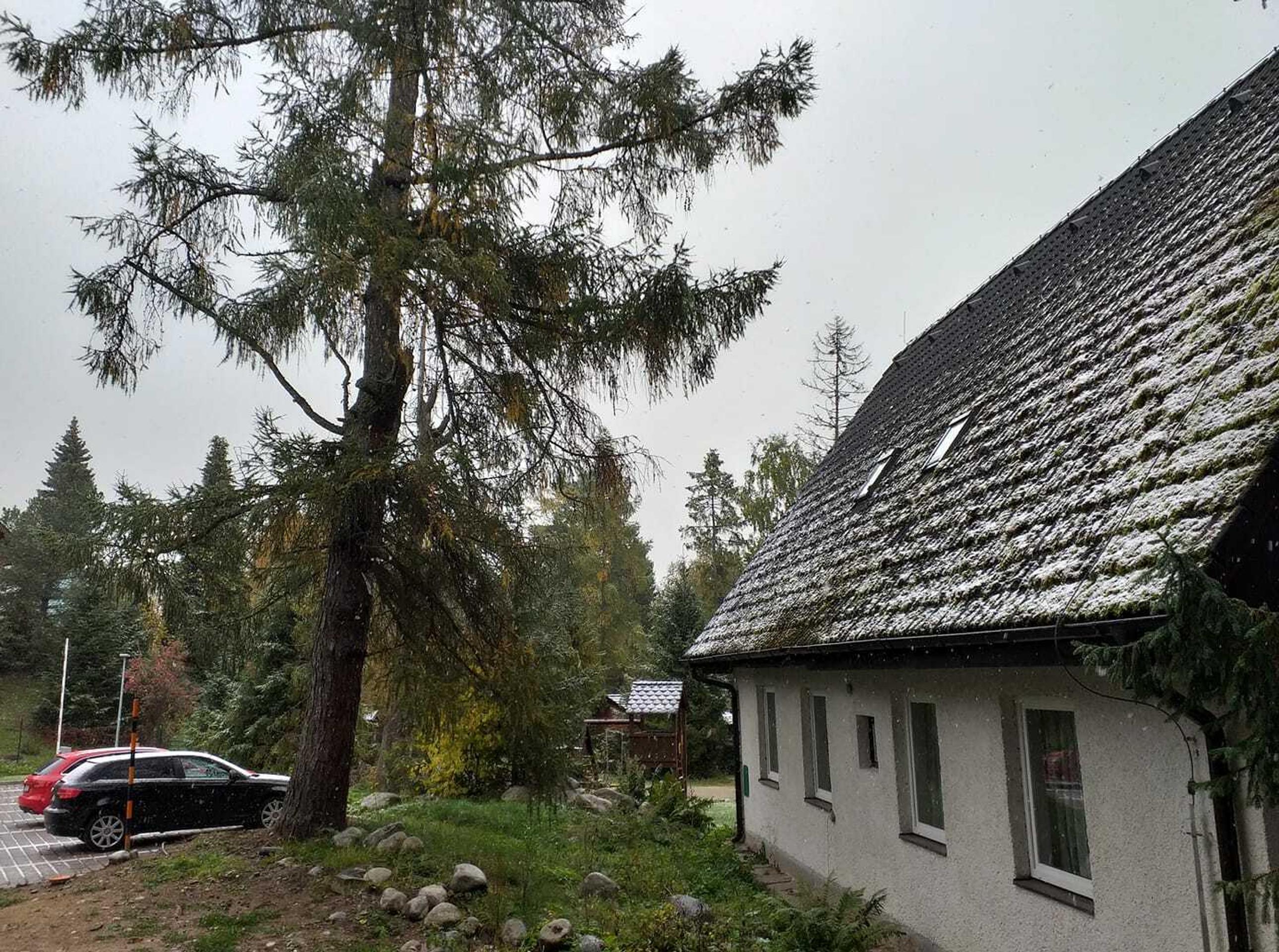 Foto od vás - Stara Lesna.