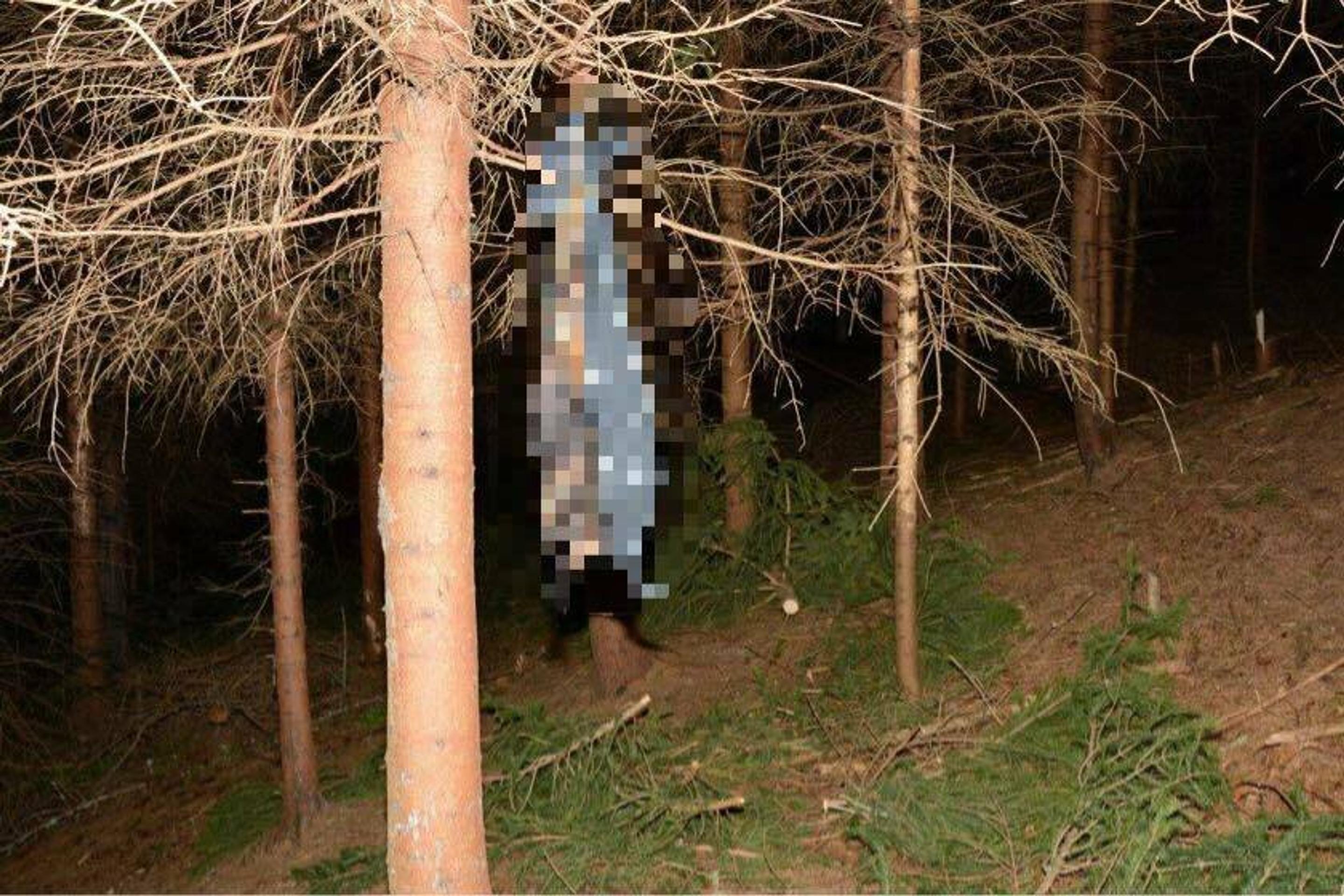 Reštaurácia Mediamatic v Holandsku