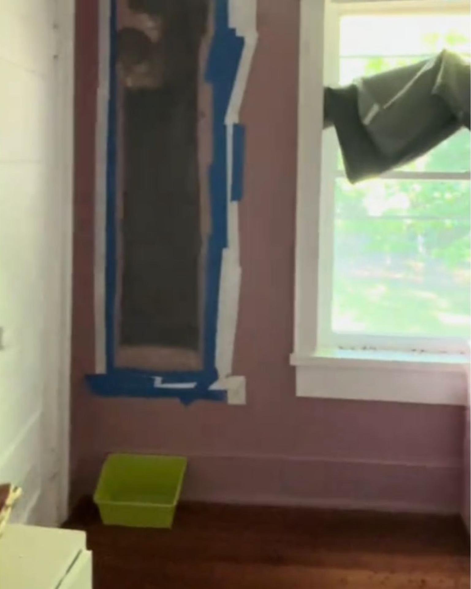 Včely sa usídlili v stene rodinného domu.